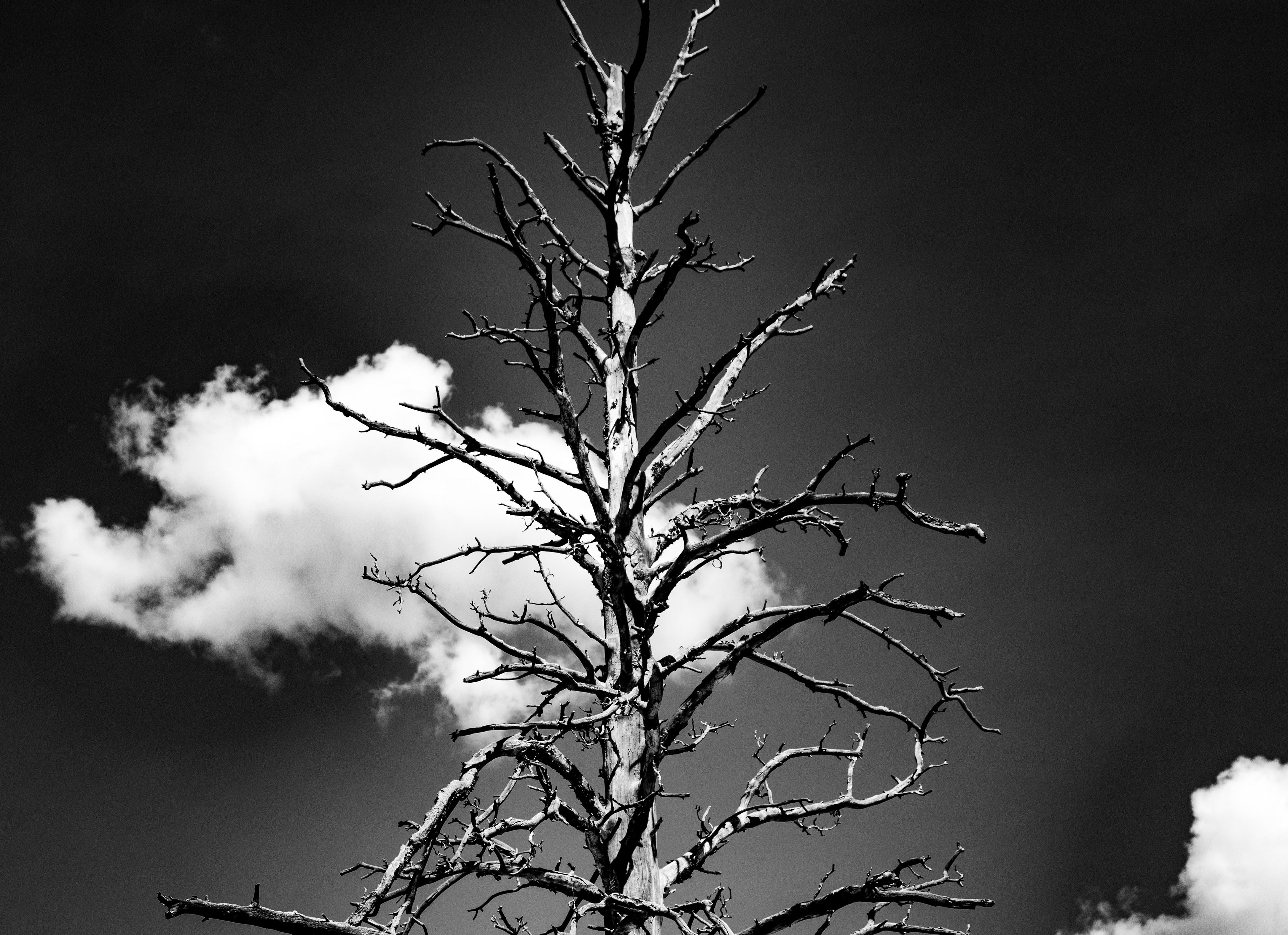 Rocky Mountain National Park | Colorado