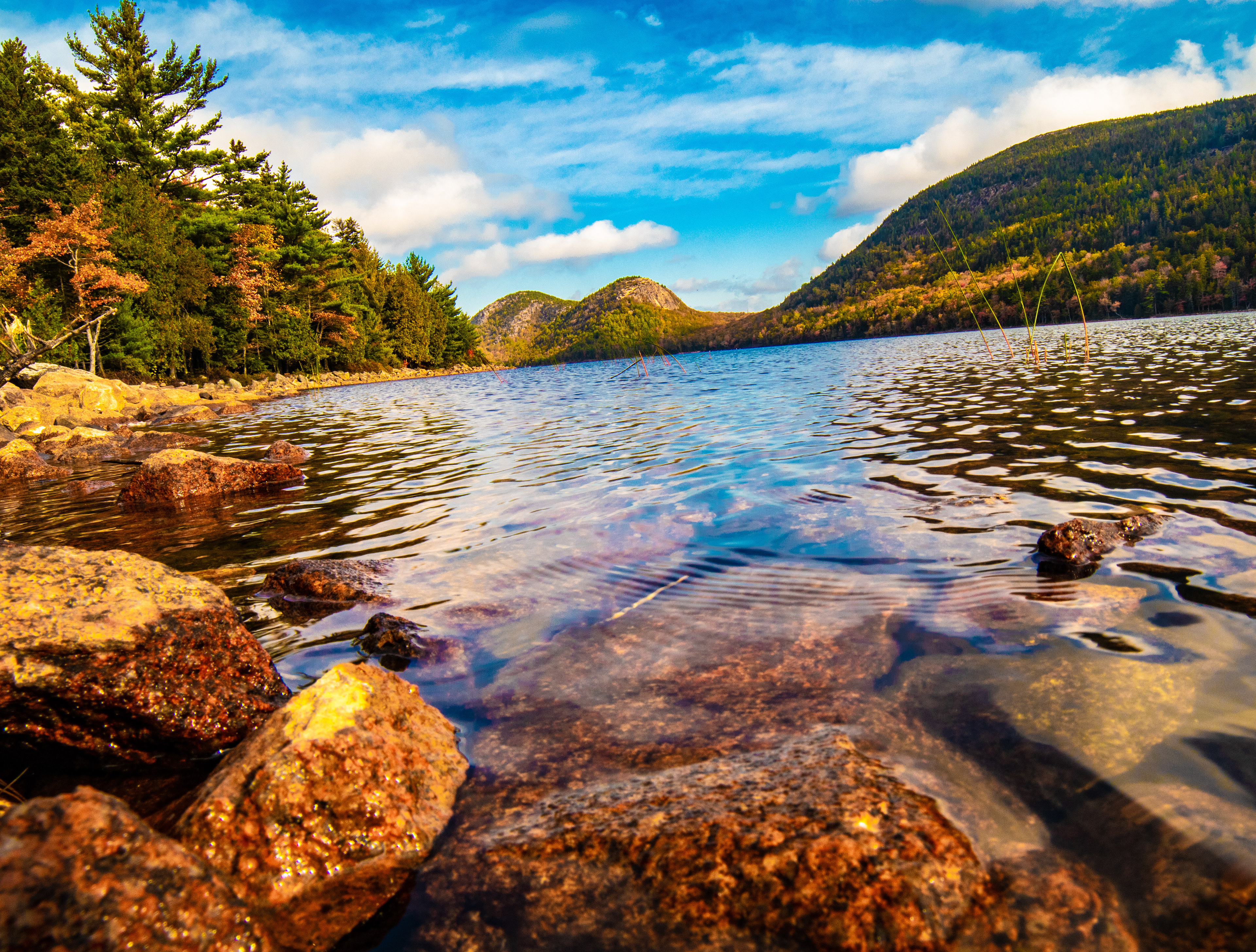 Acadia | Maine