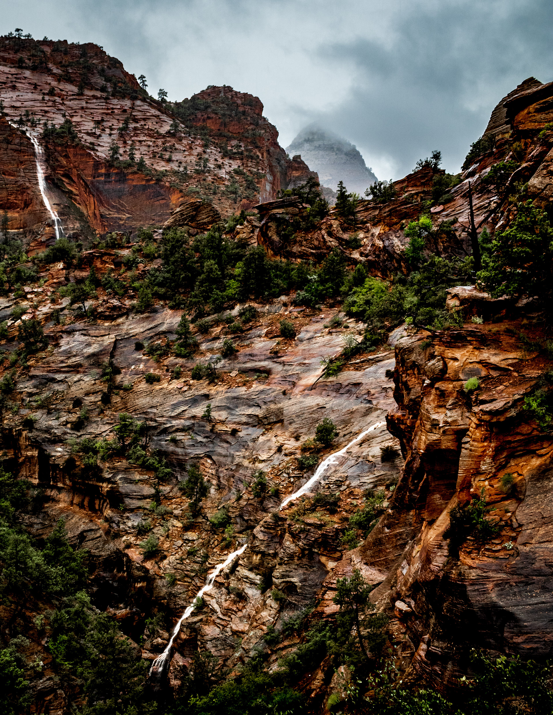 Zion | Utah