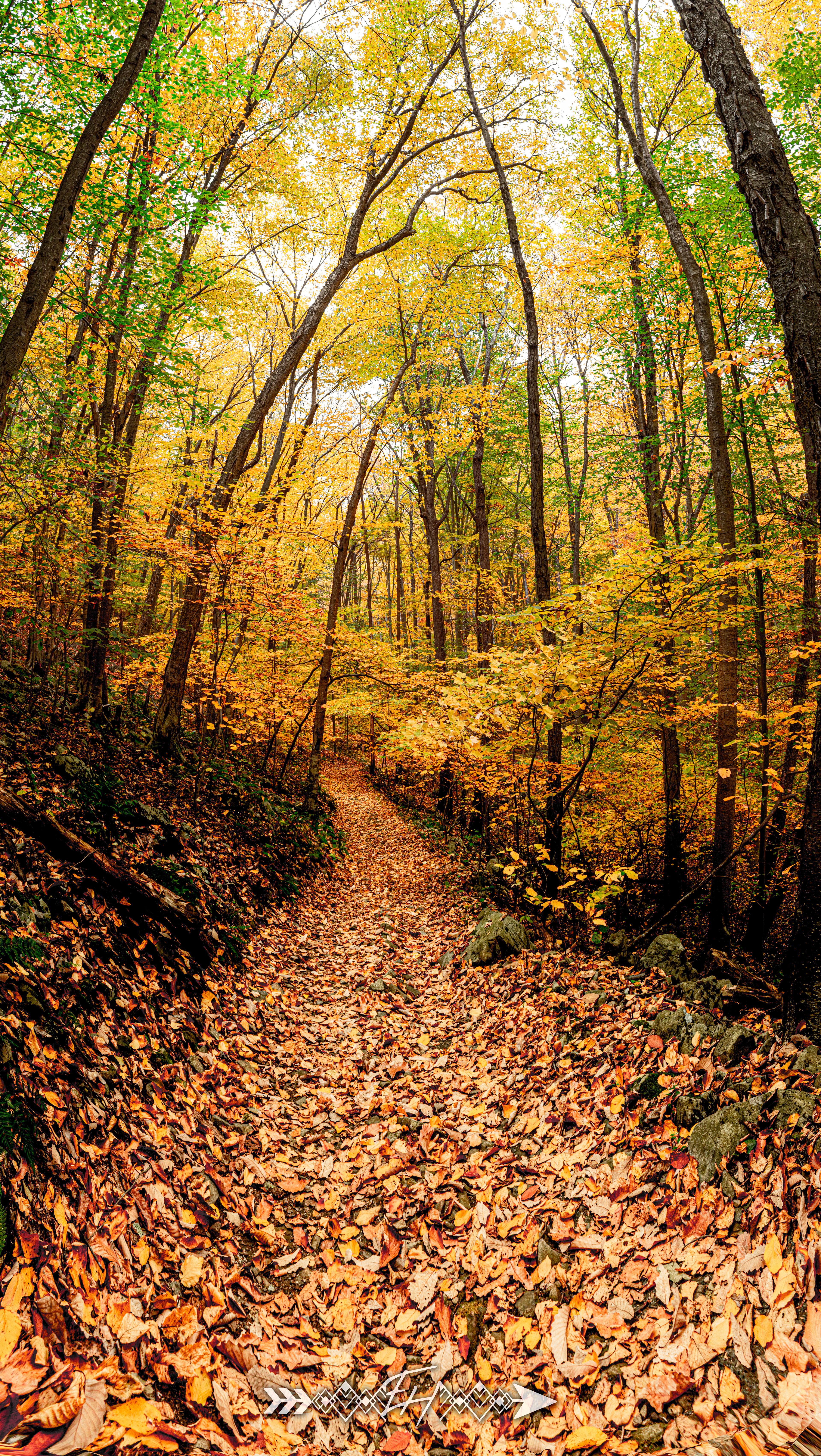 Hacklebarney State Park | New Jersey