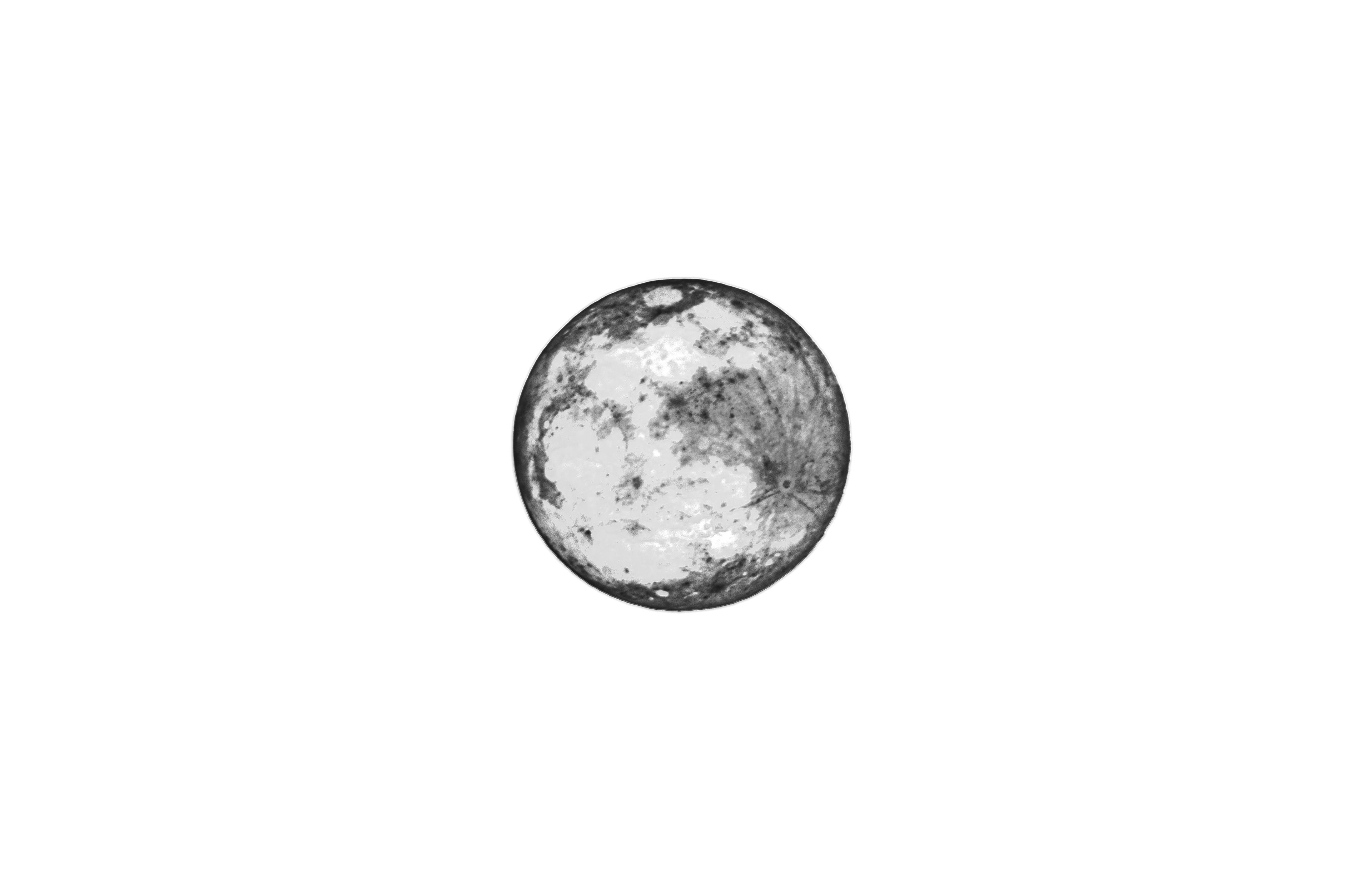Full Moon | Negative