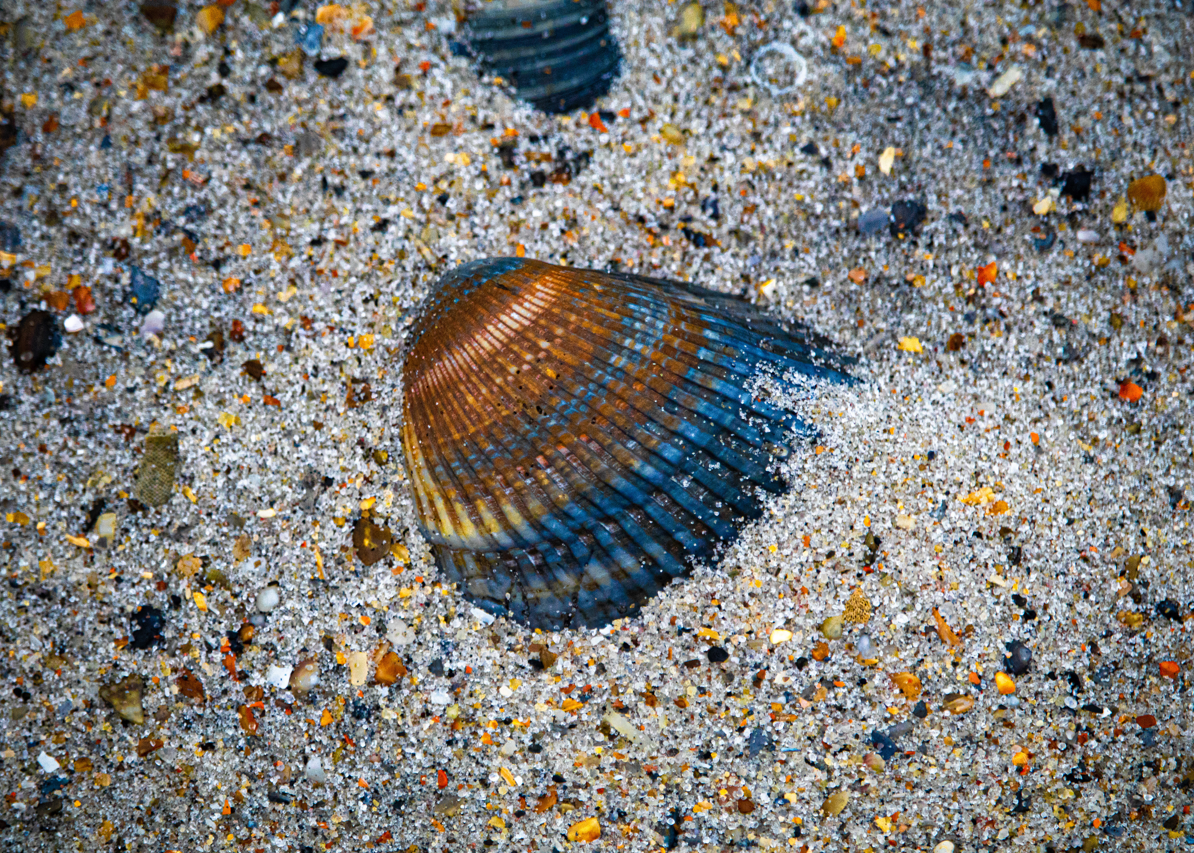 Pine Knoll Shores, NC