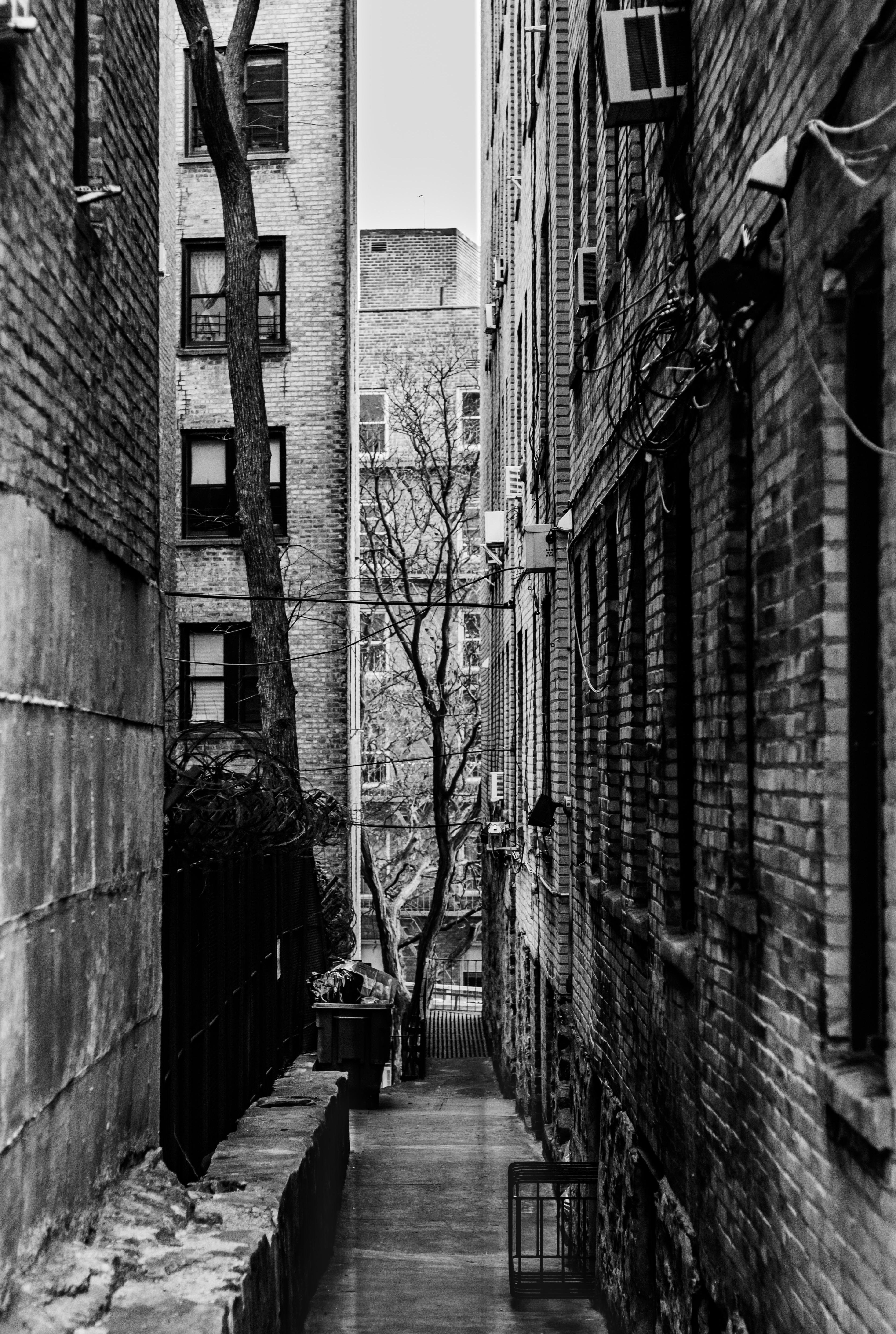 New York City | New York