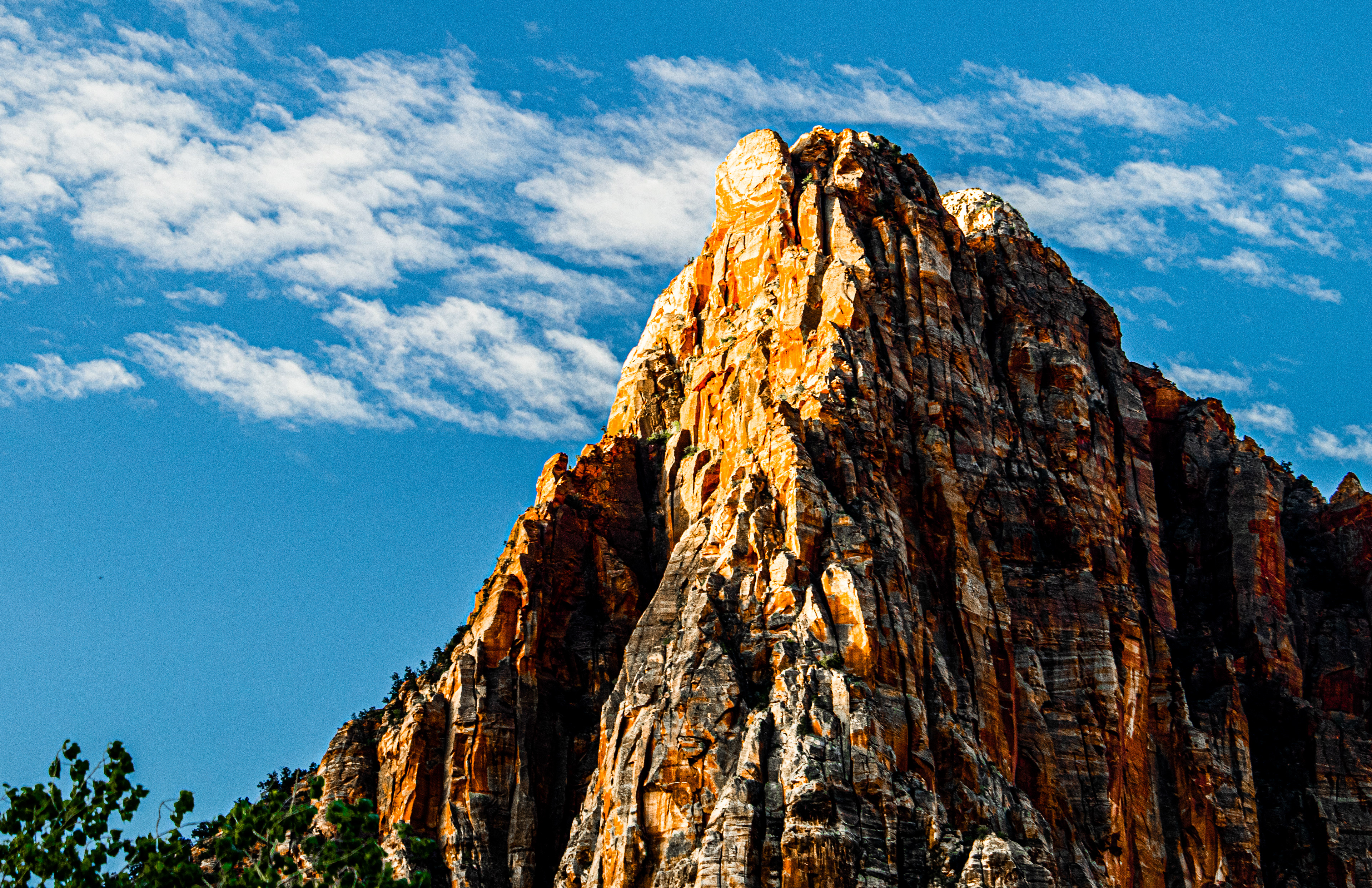 Zion | Utah