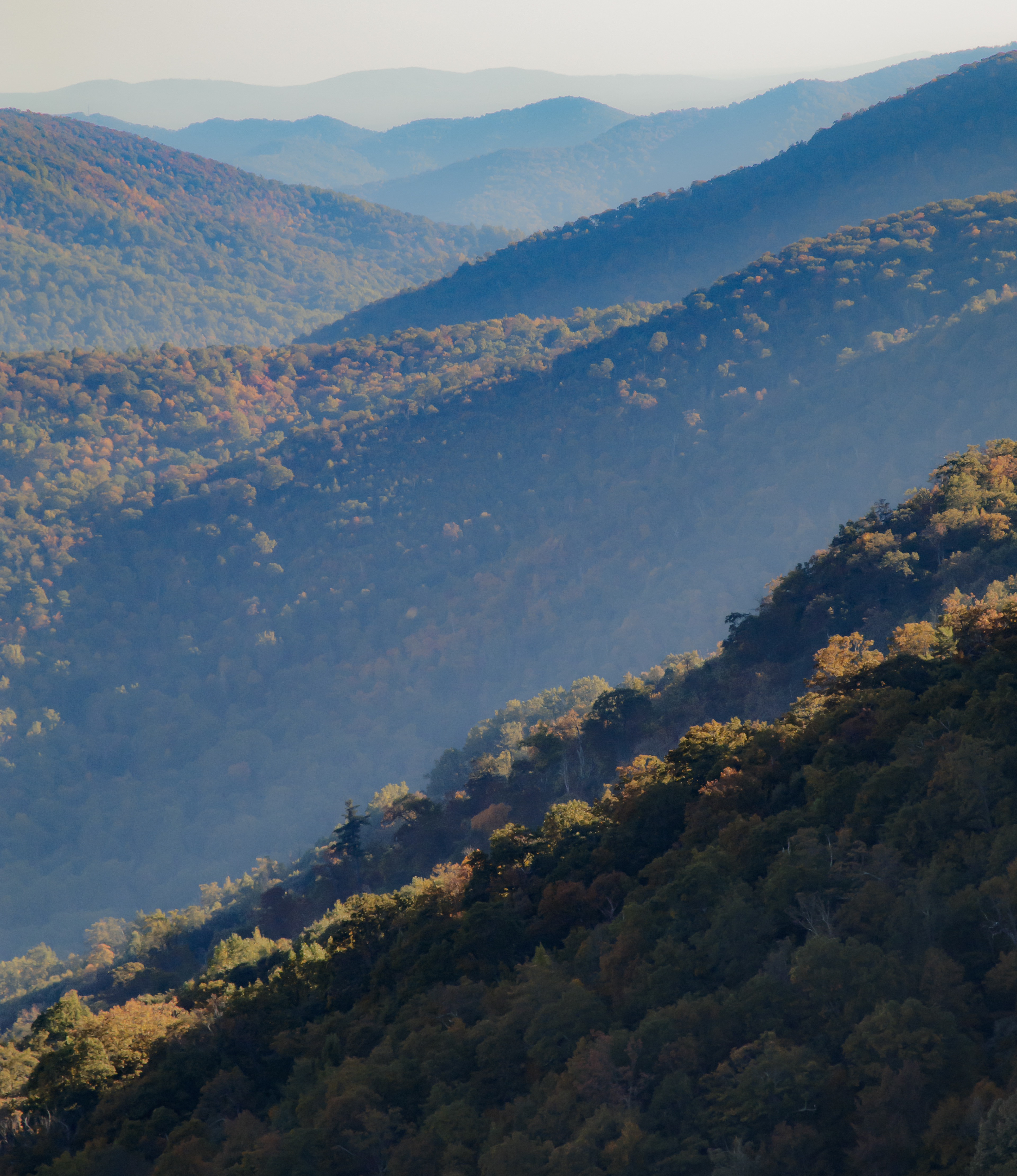 Shenandoah National Park | Virginia