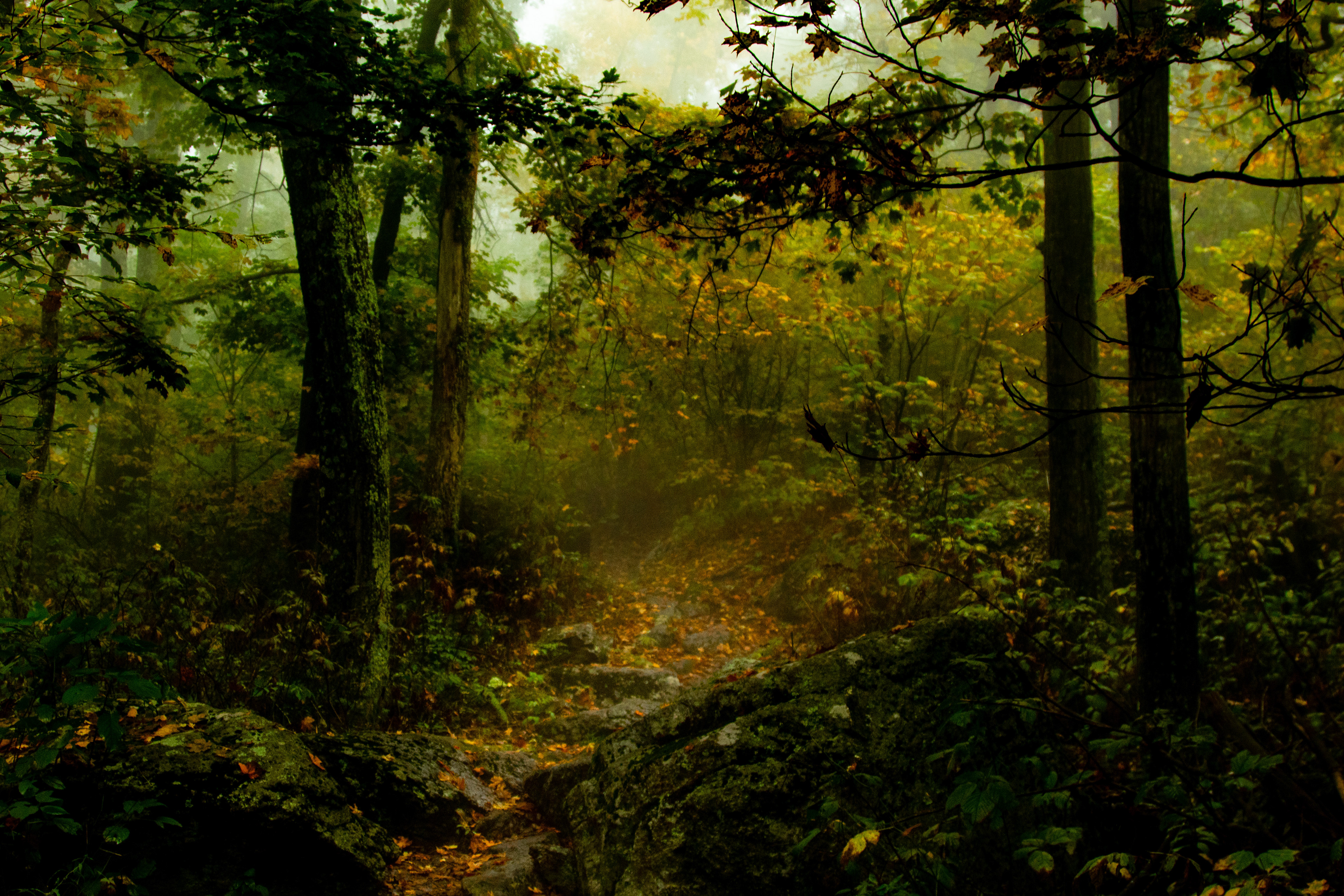 Spy Rock Trail