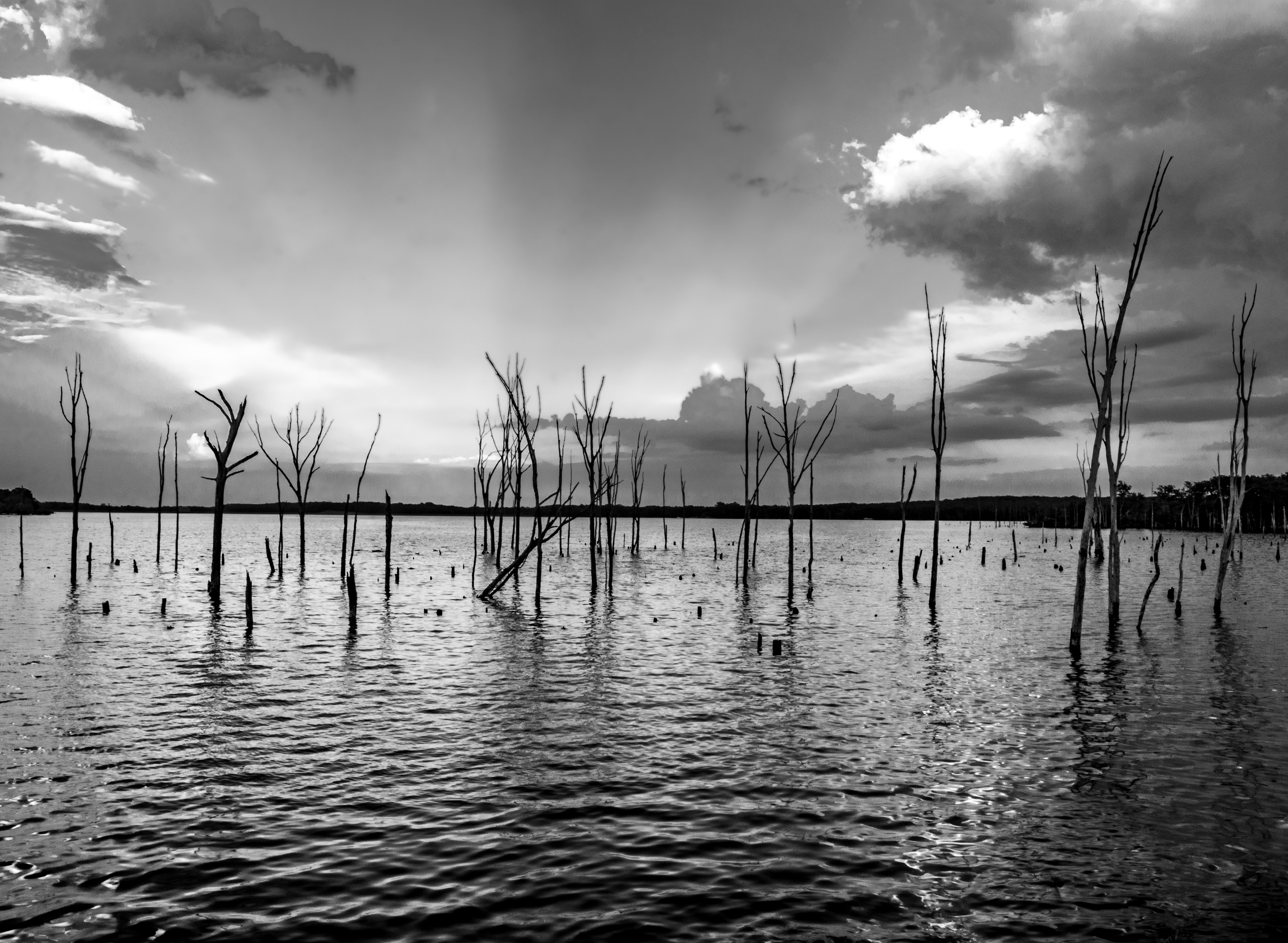 Manasquan Reservoir