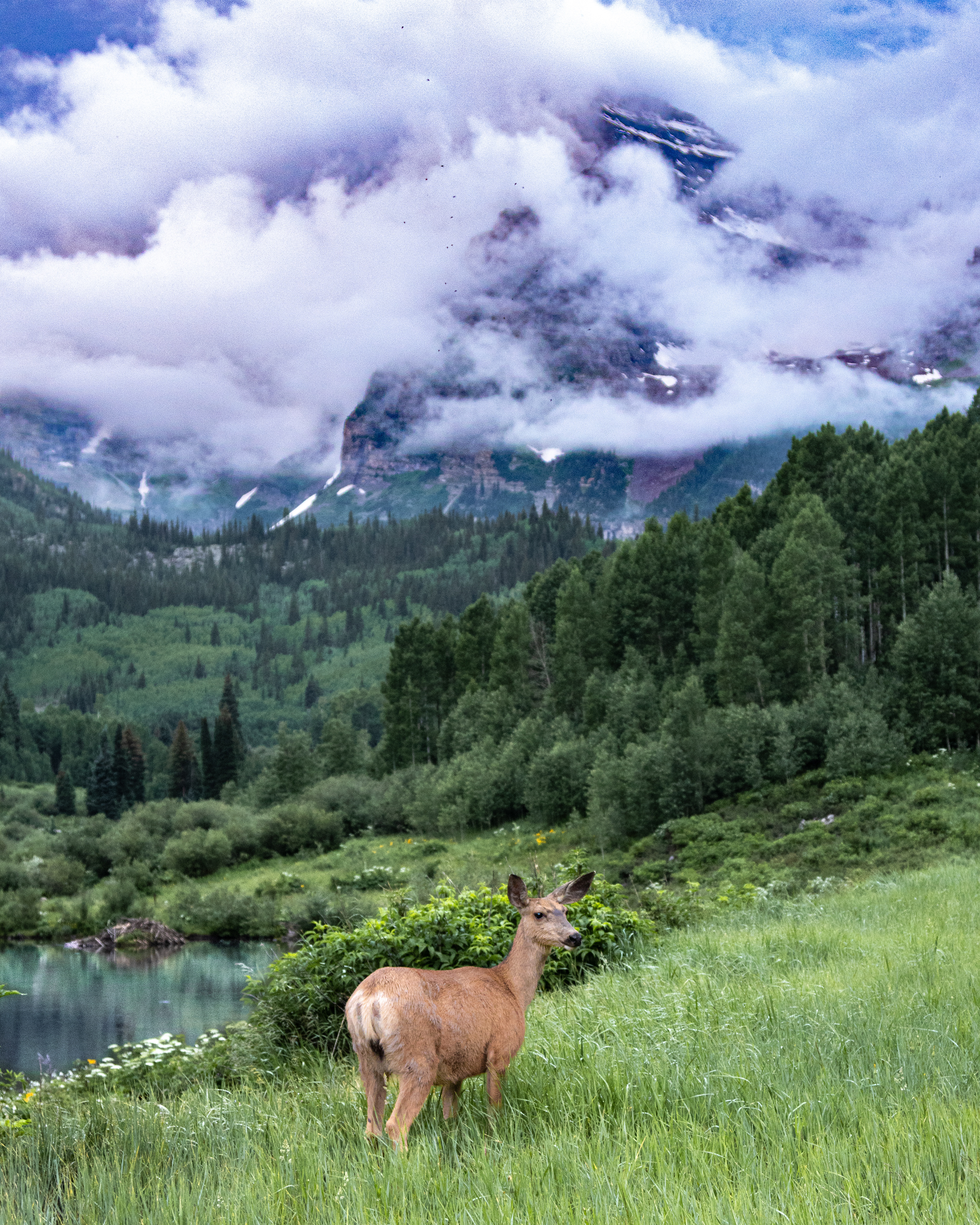 Colorado