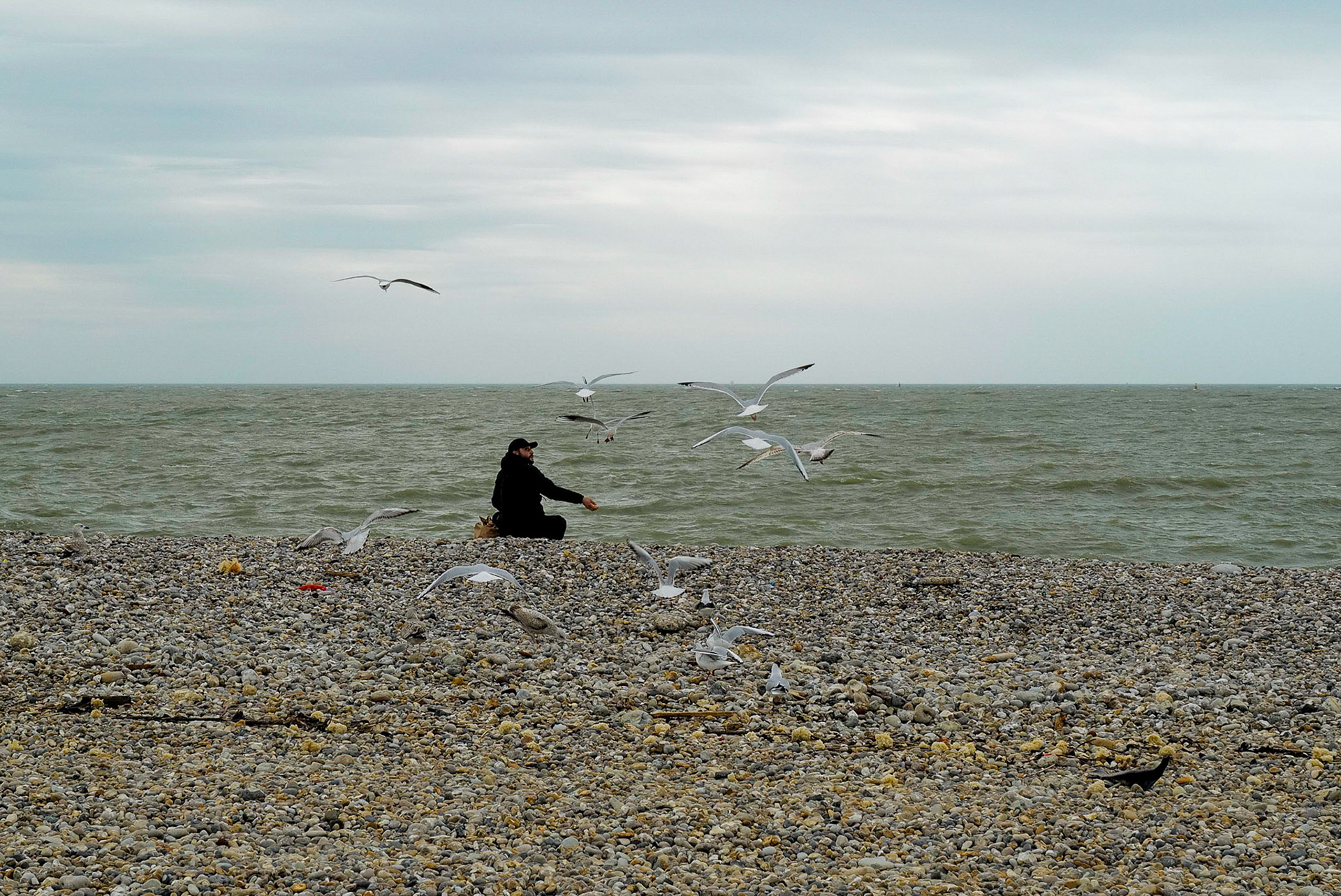 Tuer le temps avec les mouettes