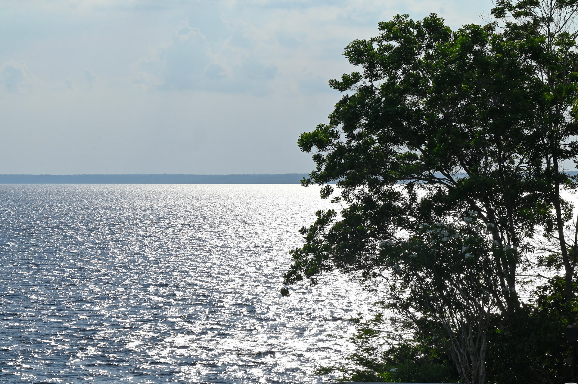 Amazonas