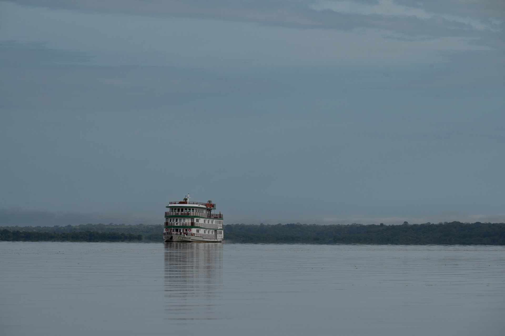 Amazonian clipper