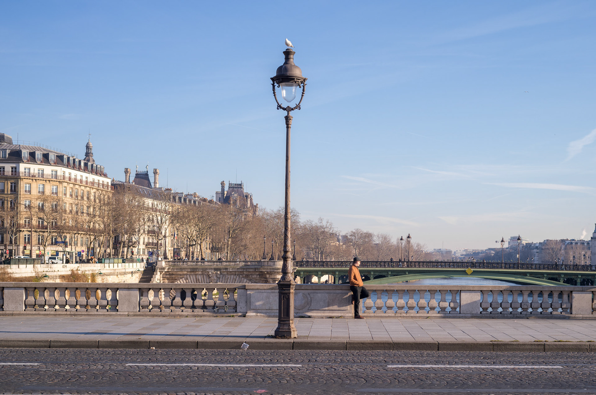 Dos à dos avec une mouette à Paris