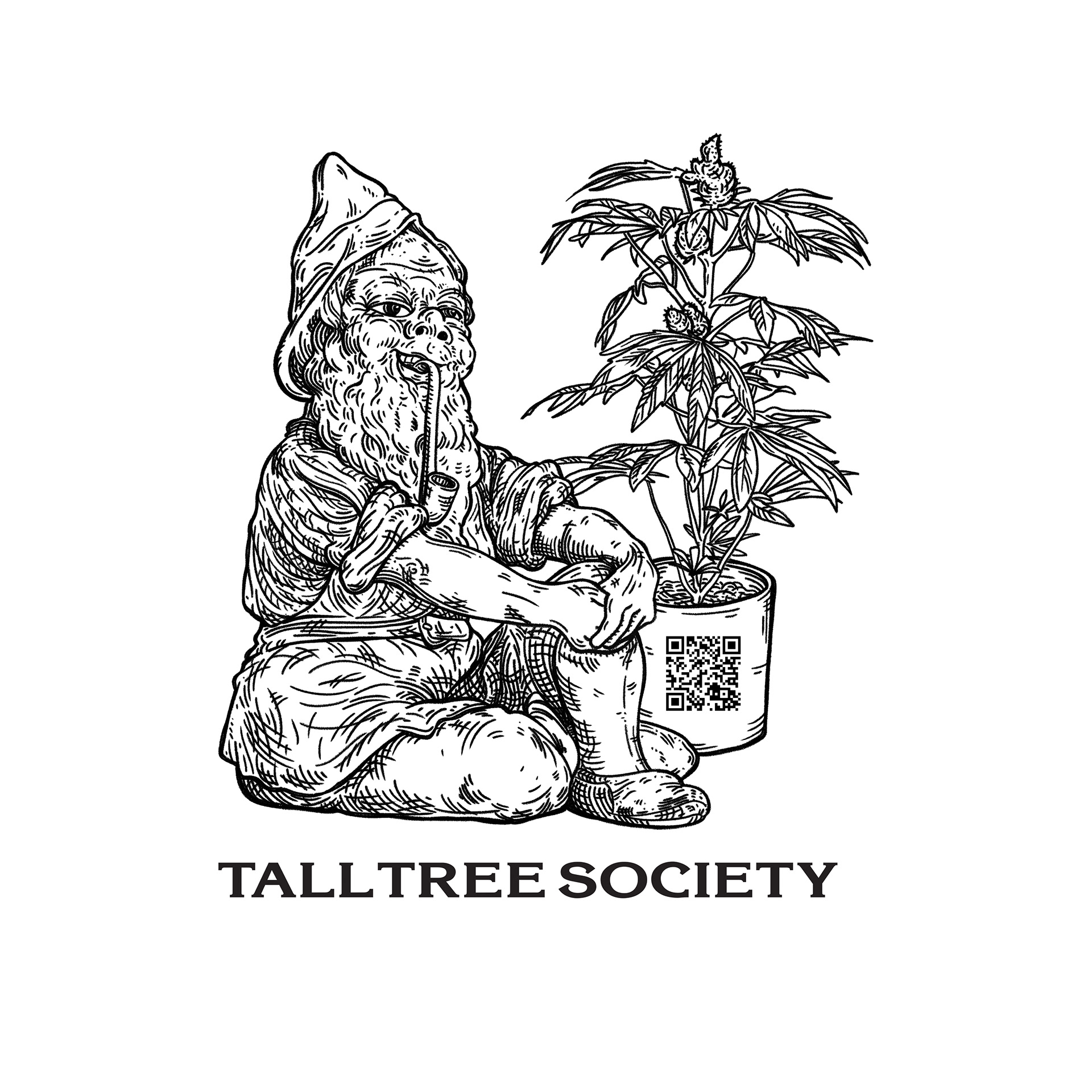 Tall Tree Society Cannabis, Mendocino CA