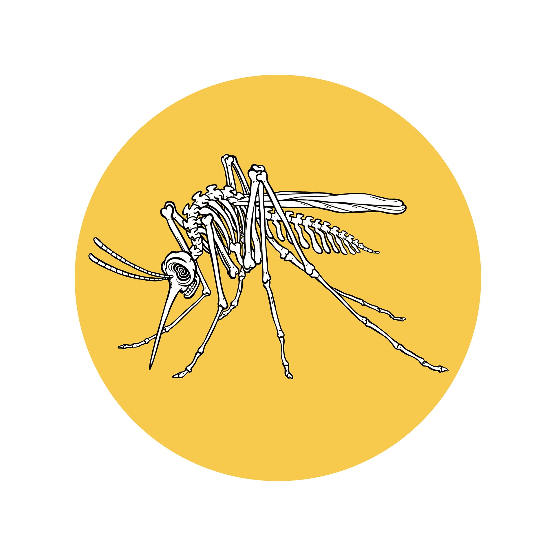 Dead Mosquito Productions, Austin TX