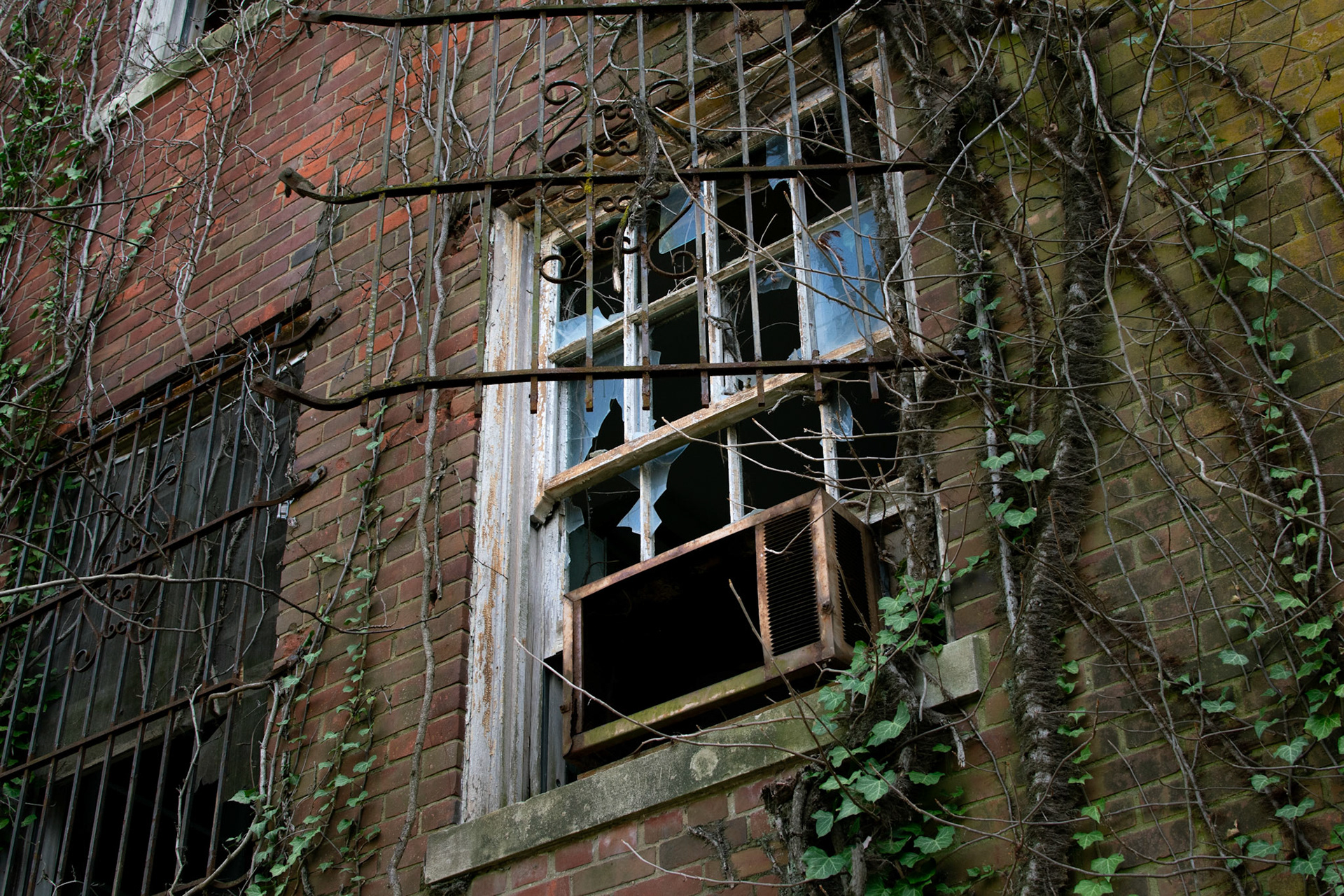 Overgrown, 2025