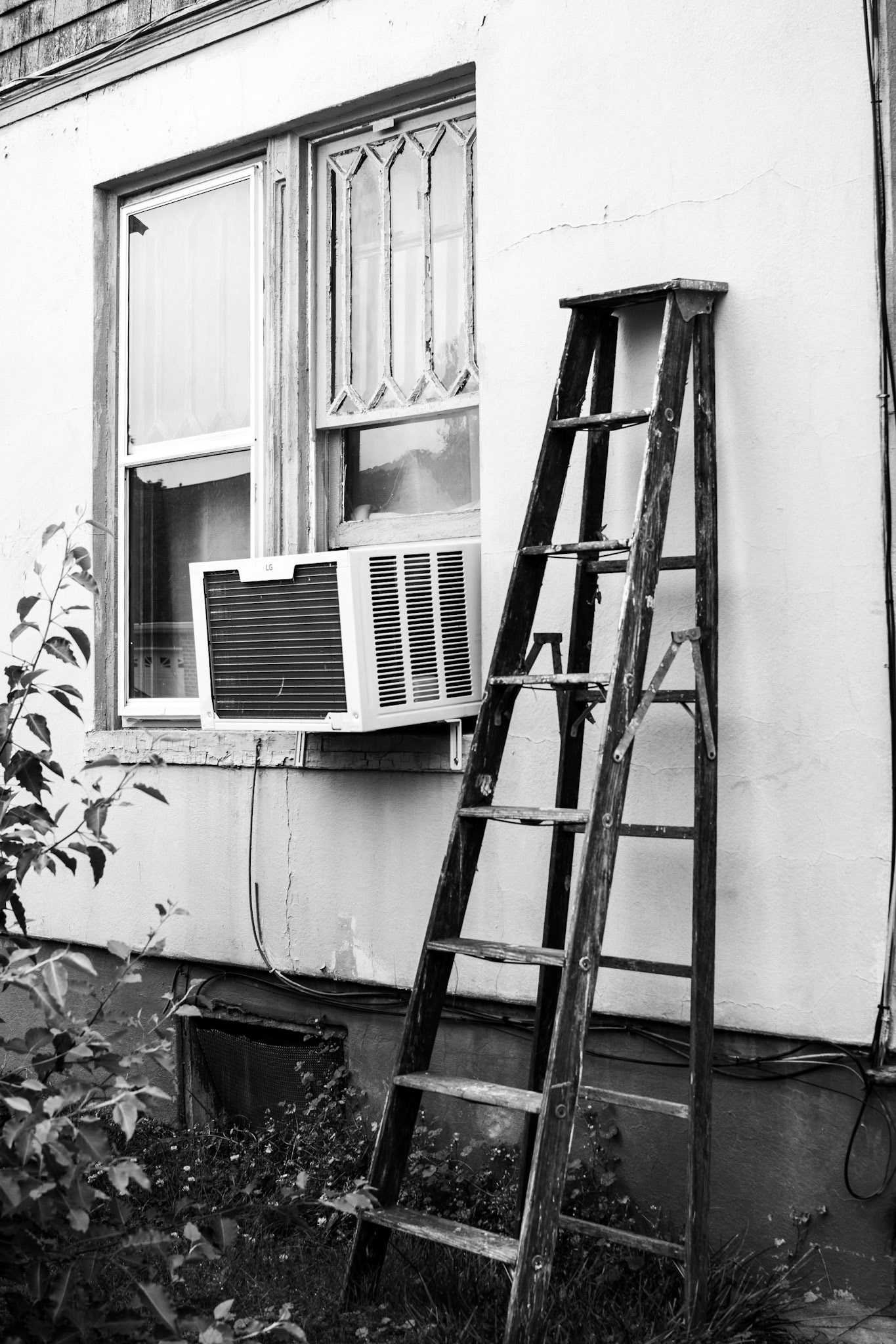 Forgotten Ladder, 2025