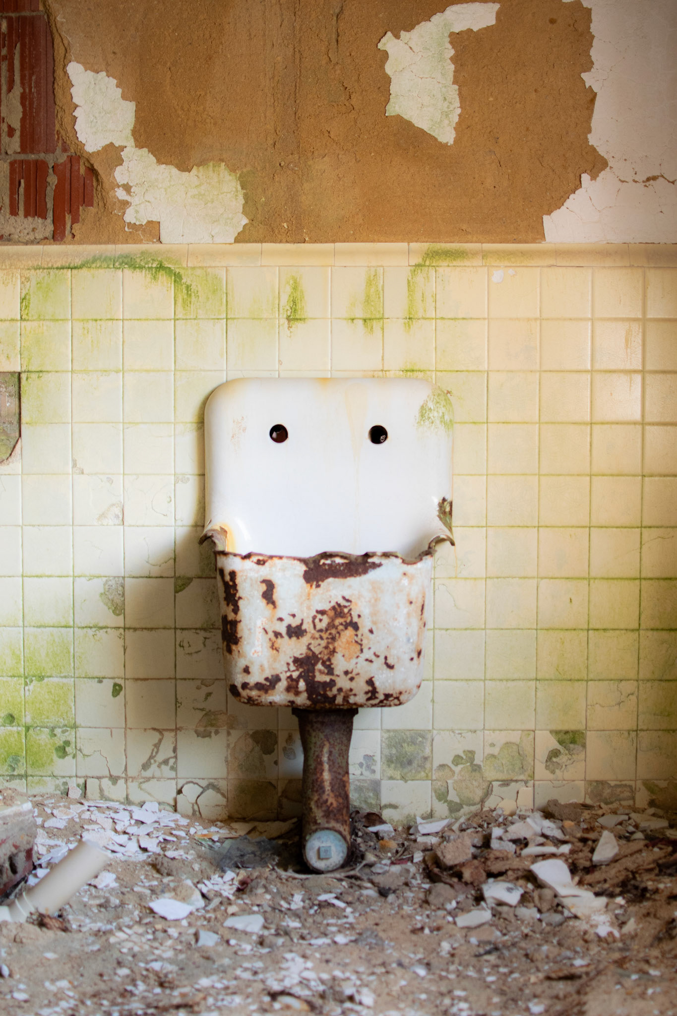 Porcelain, 2025