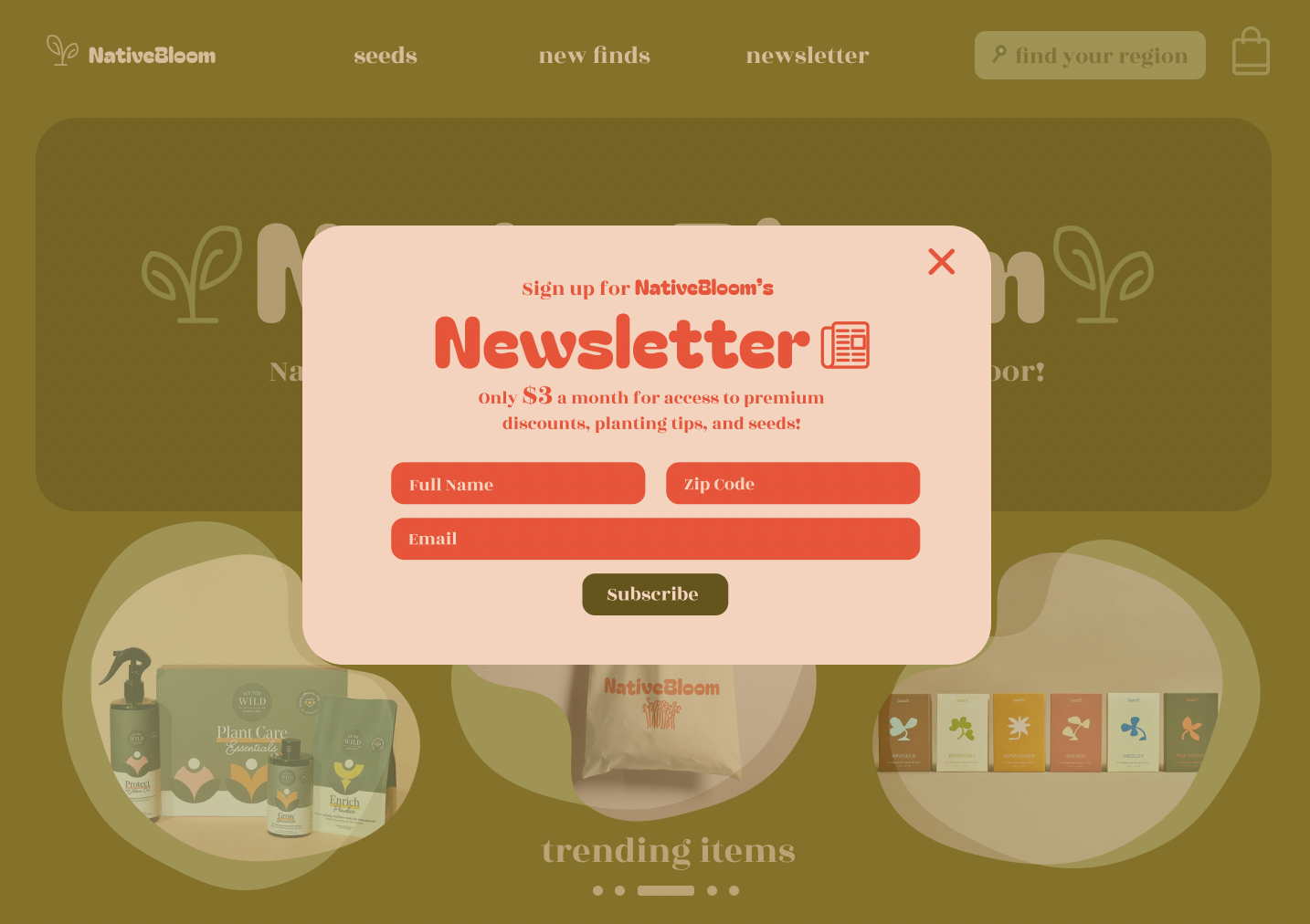 Newsletter Pop-up