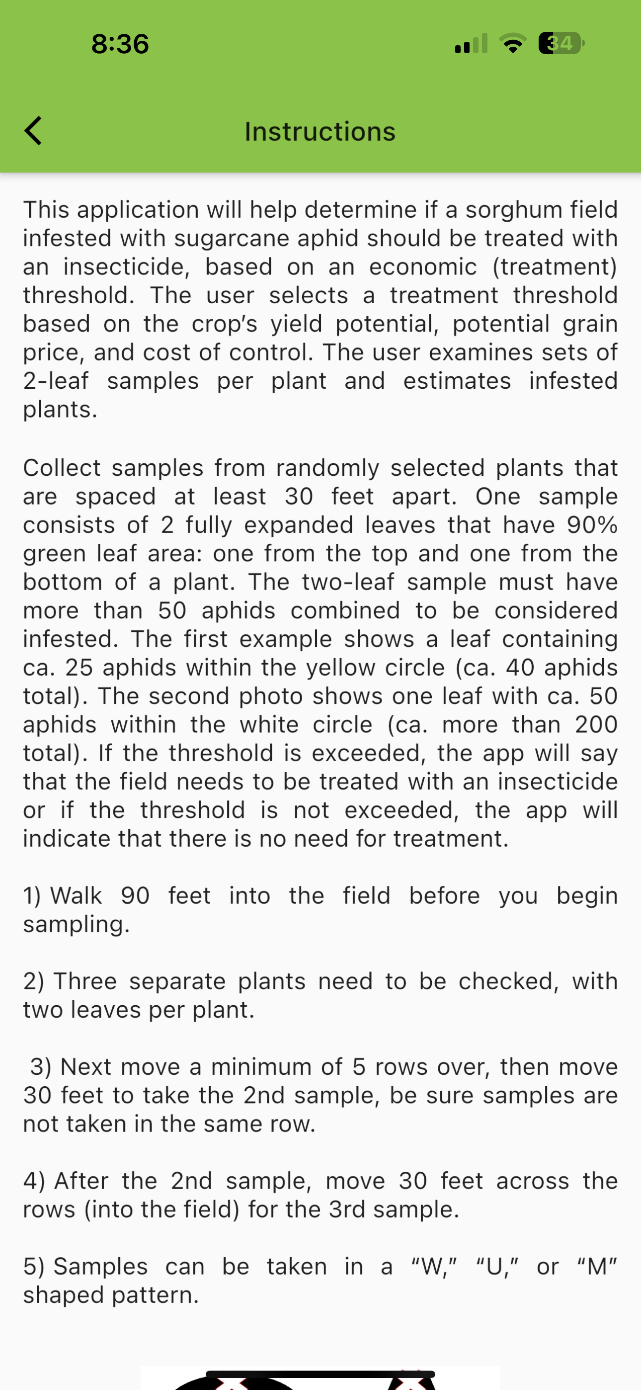 Glance N Go Before Redesign