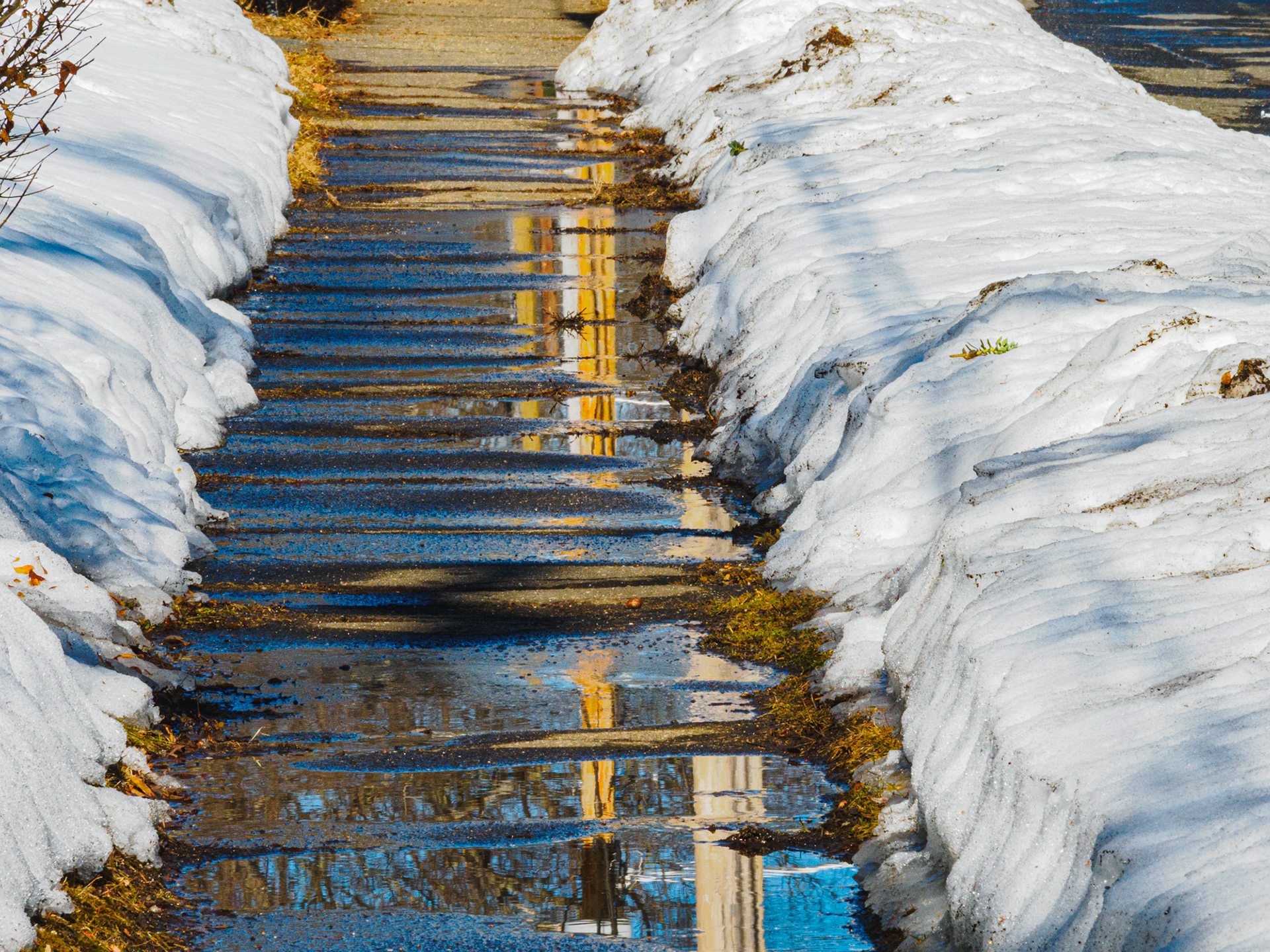 local puddles