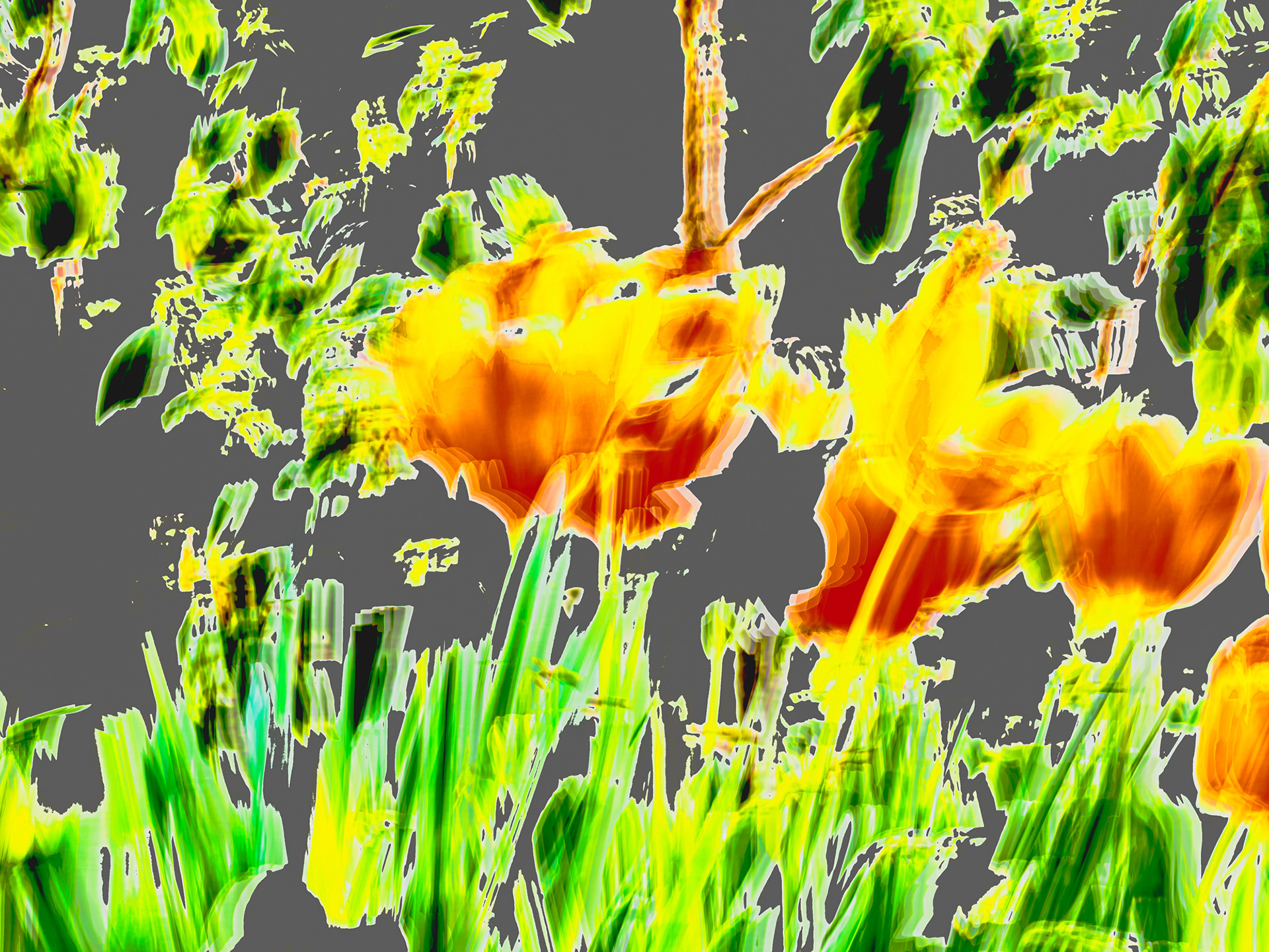 bulb show 2026