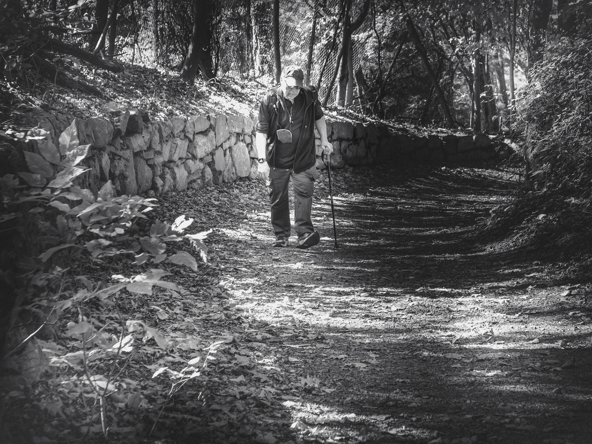 trail seeker