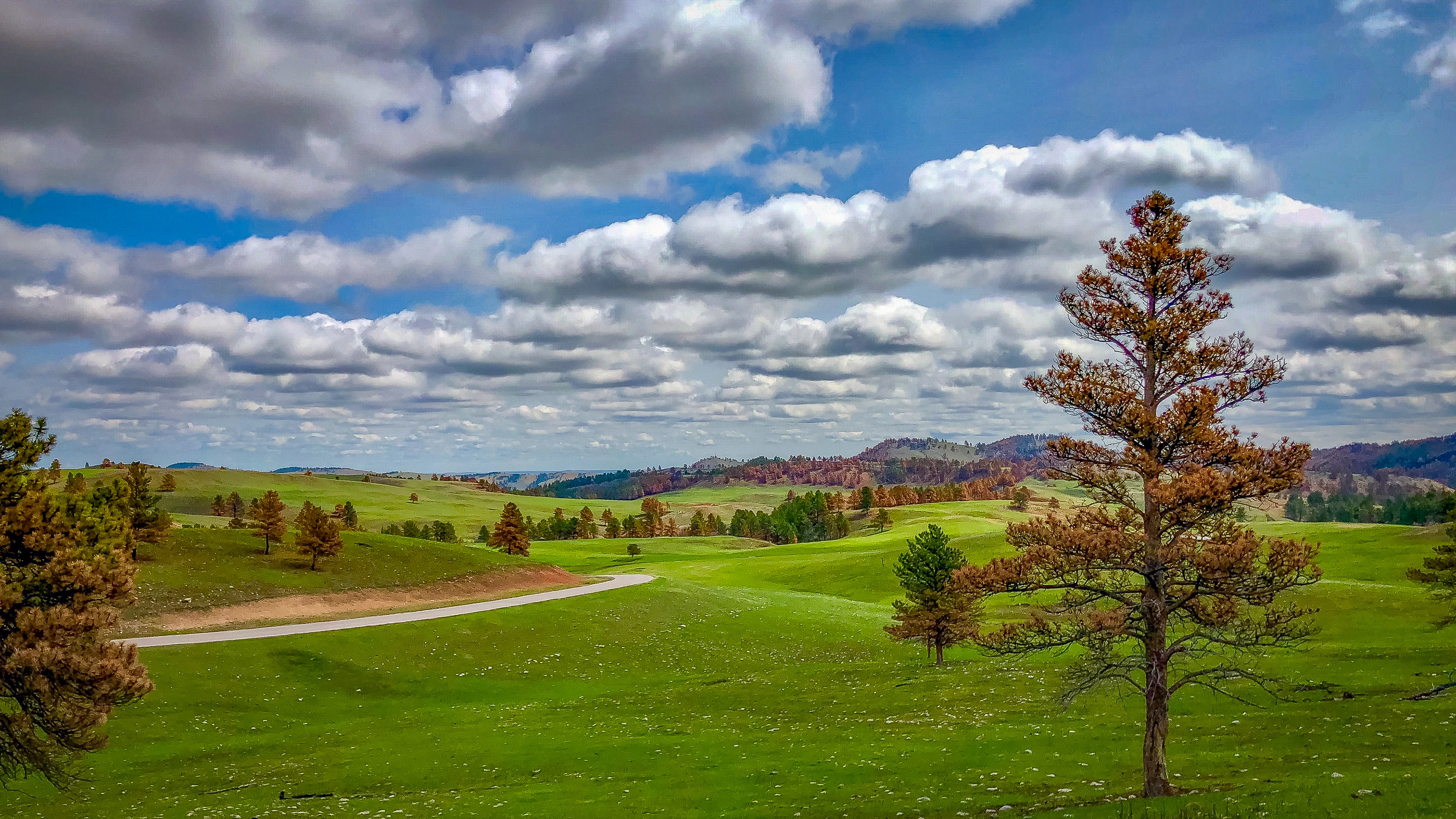 Wisconsin Landscapes