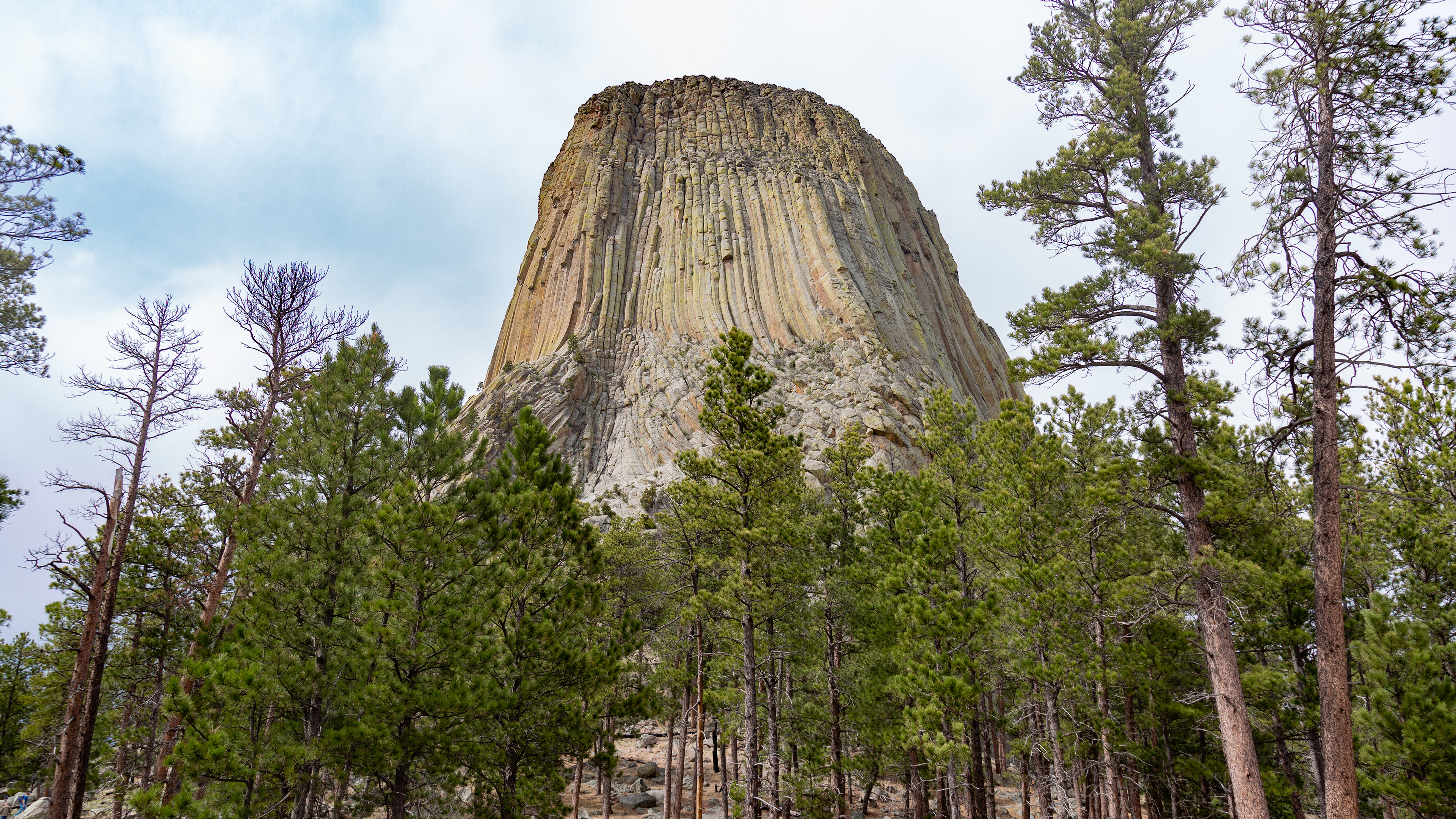 Devils Tower