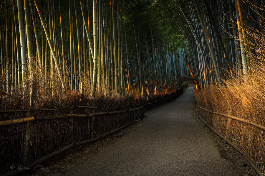 Kyoto