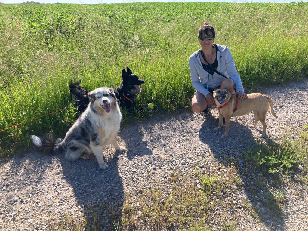 Beim Spaziergang mit Gasthund Chichi