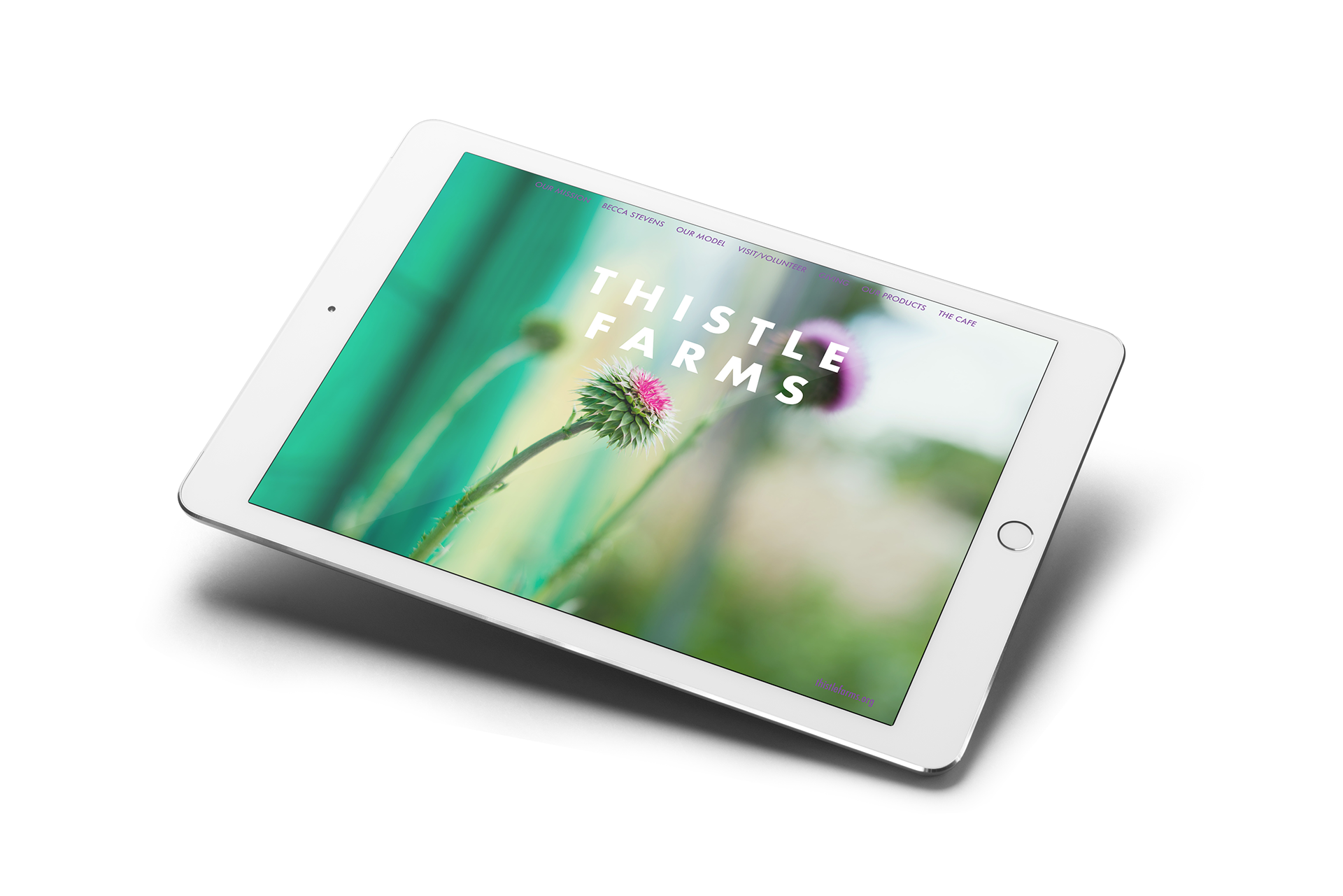 Digital Brochure
