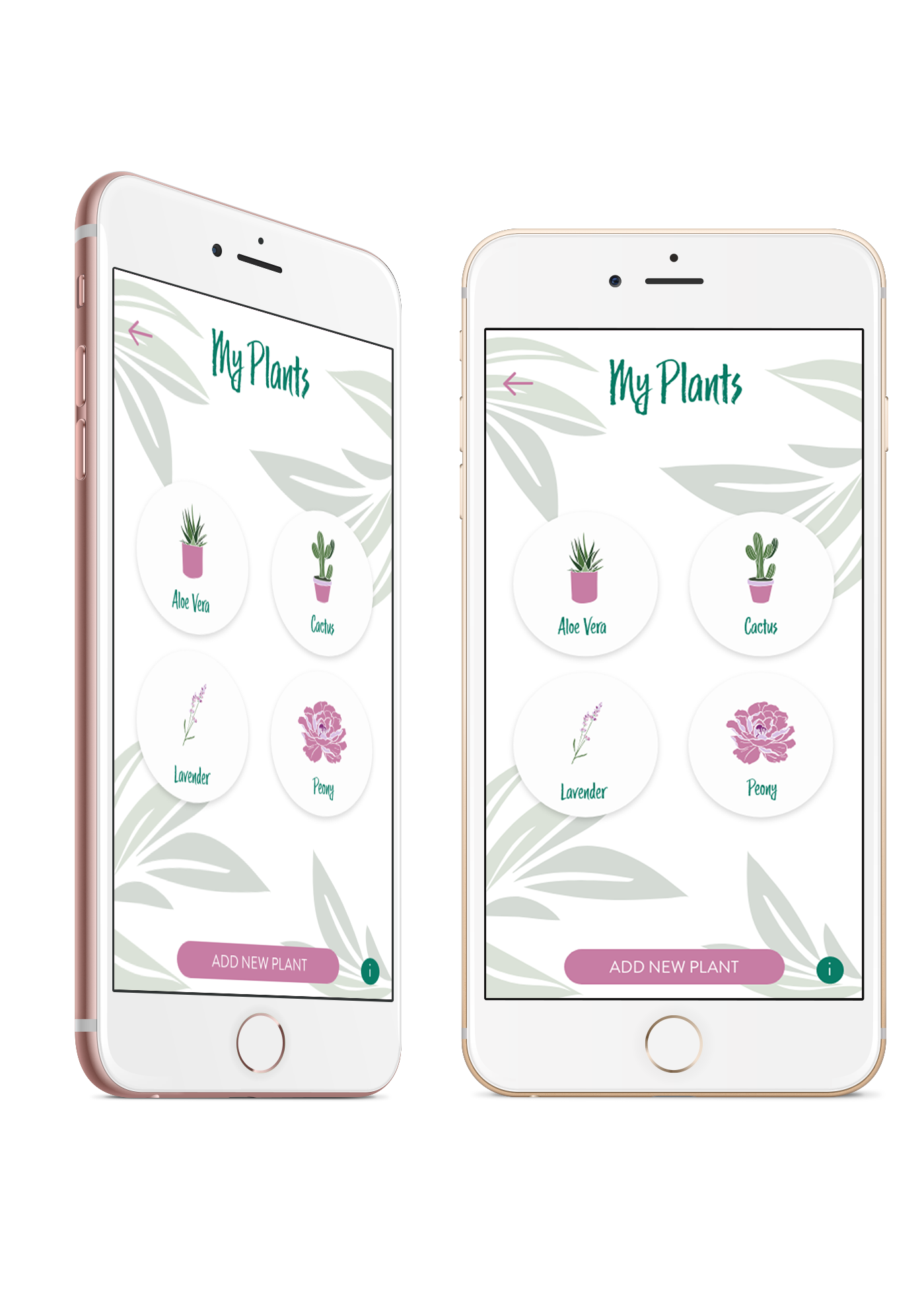App Design Mock-up