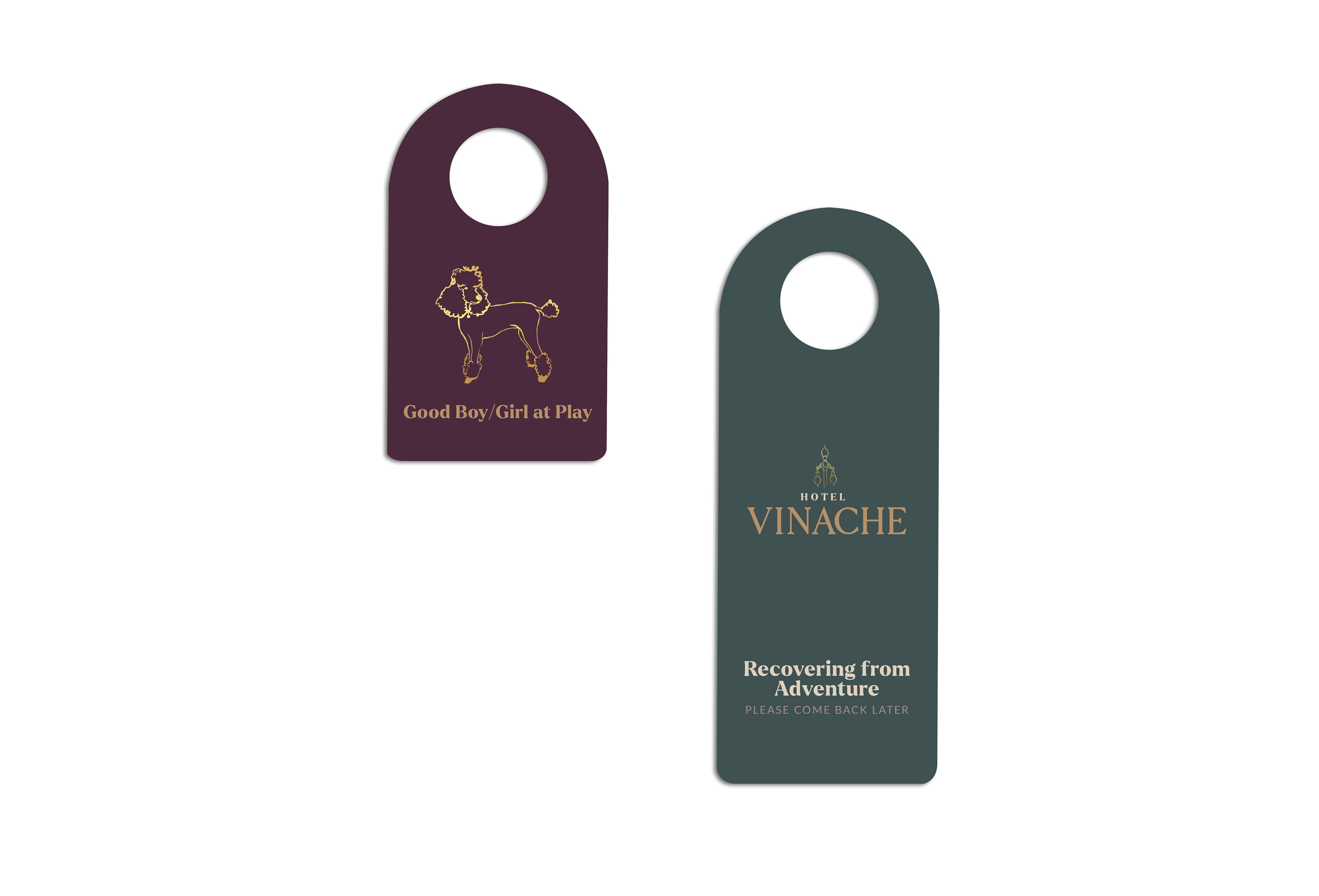 Room Door Hanger