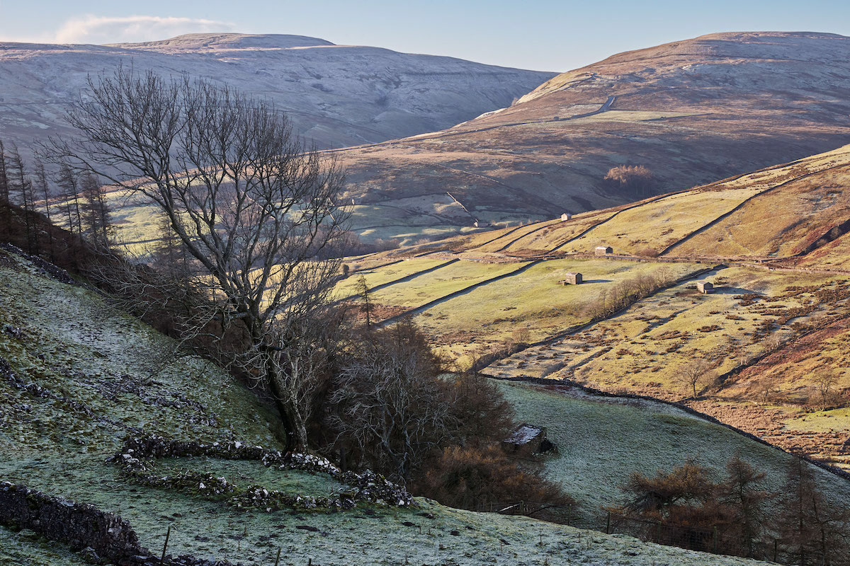 Sunny side of the dale, swaledale