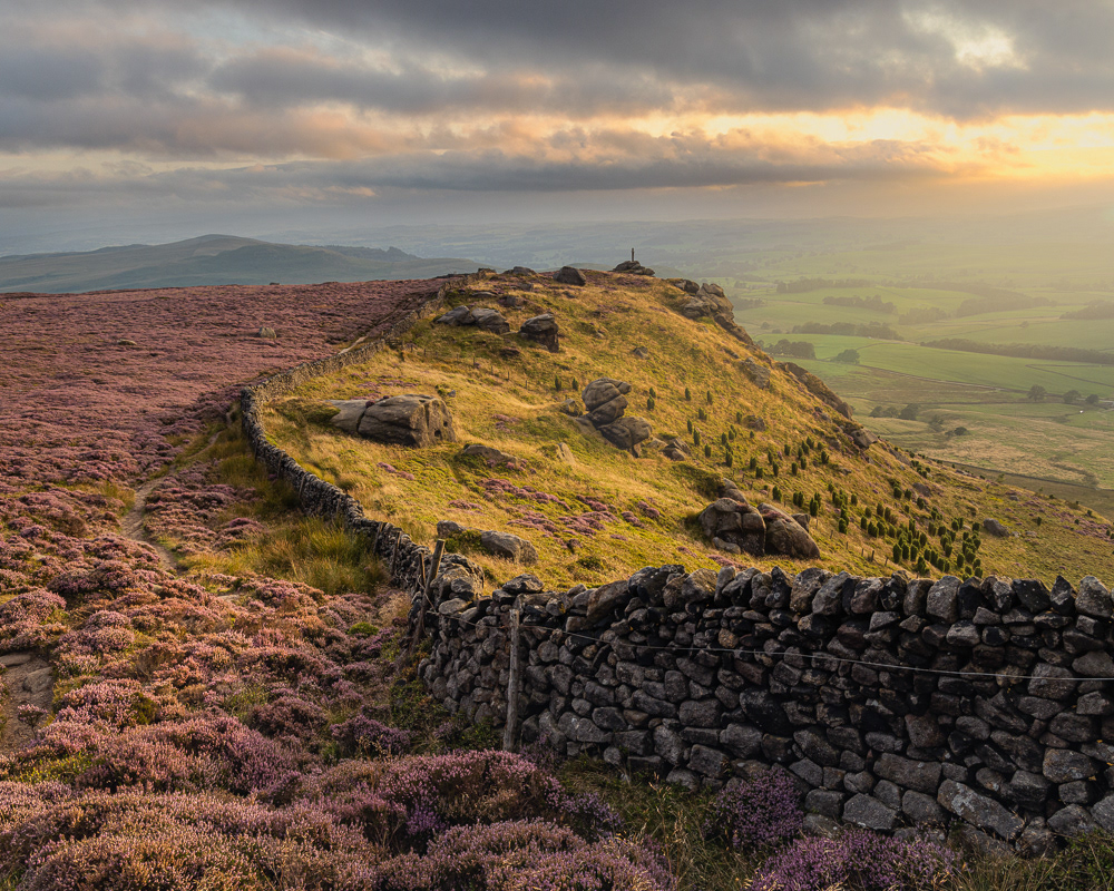 summer view to rydale cross II