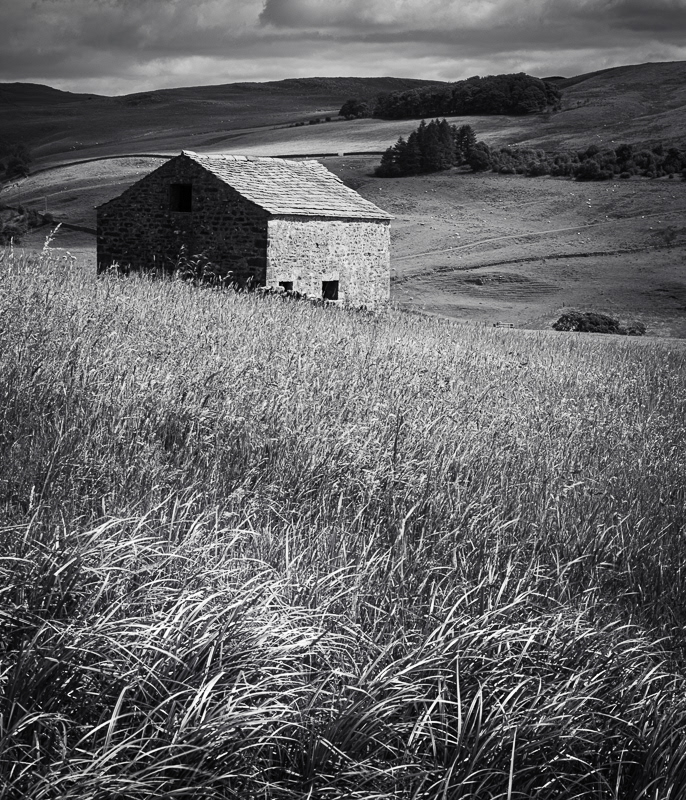 Dales barn