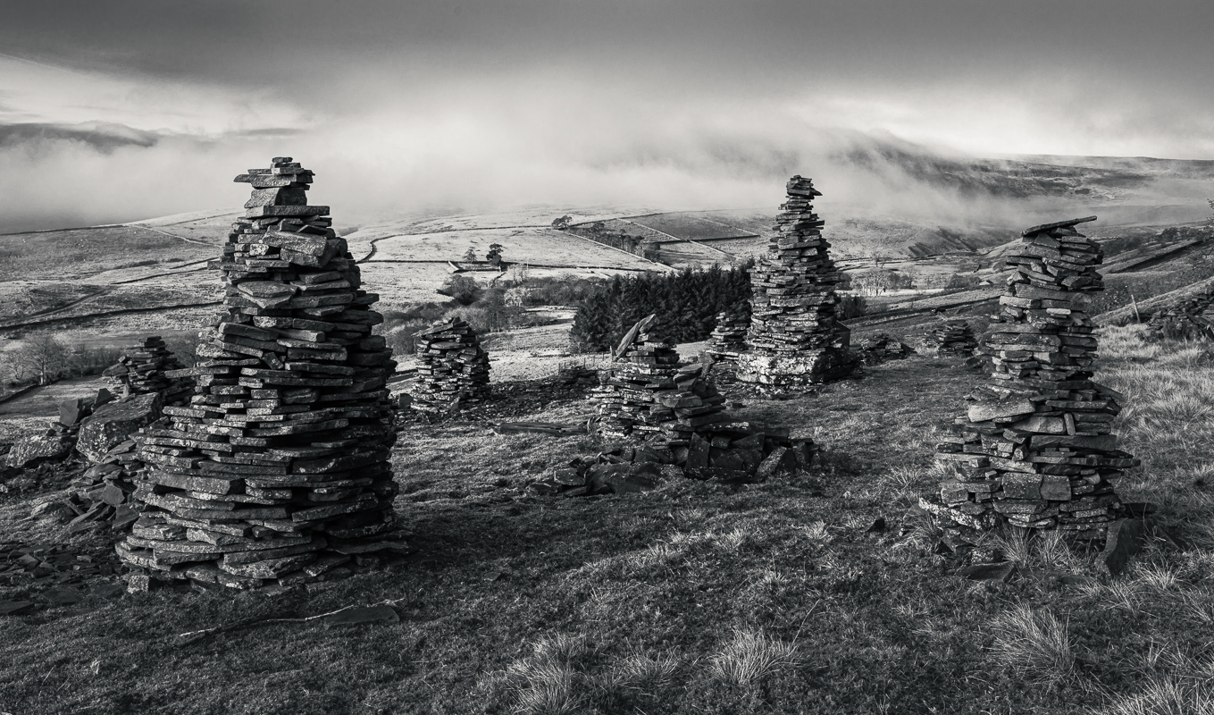weather. watching, stag fell