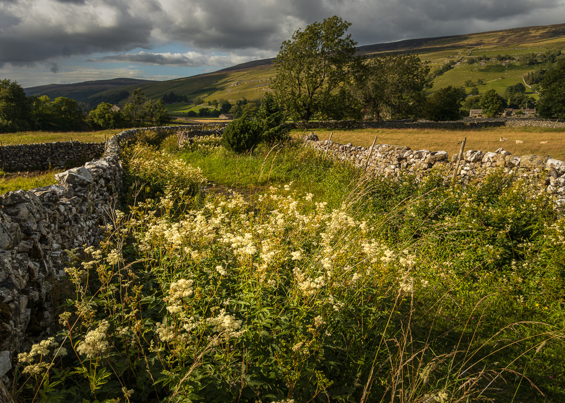 Monks walk, Arncliffe