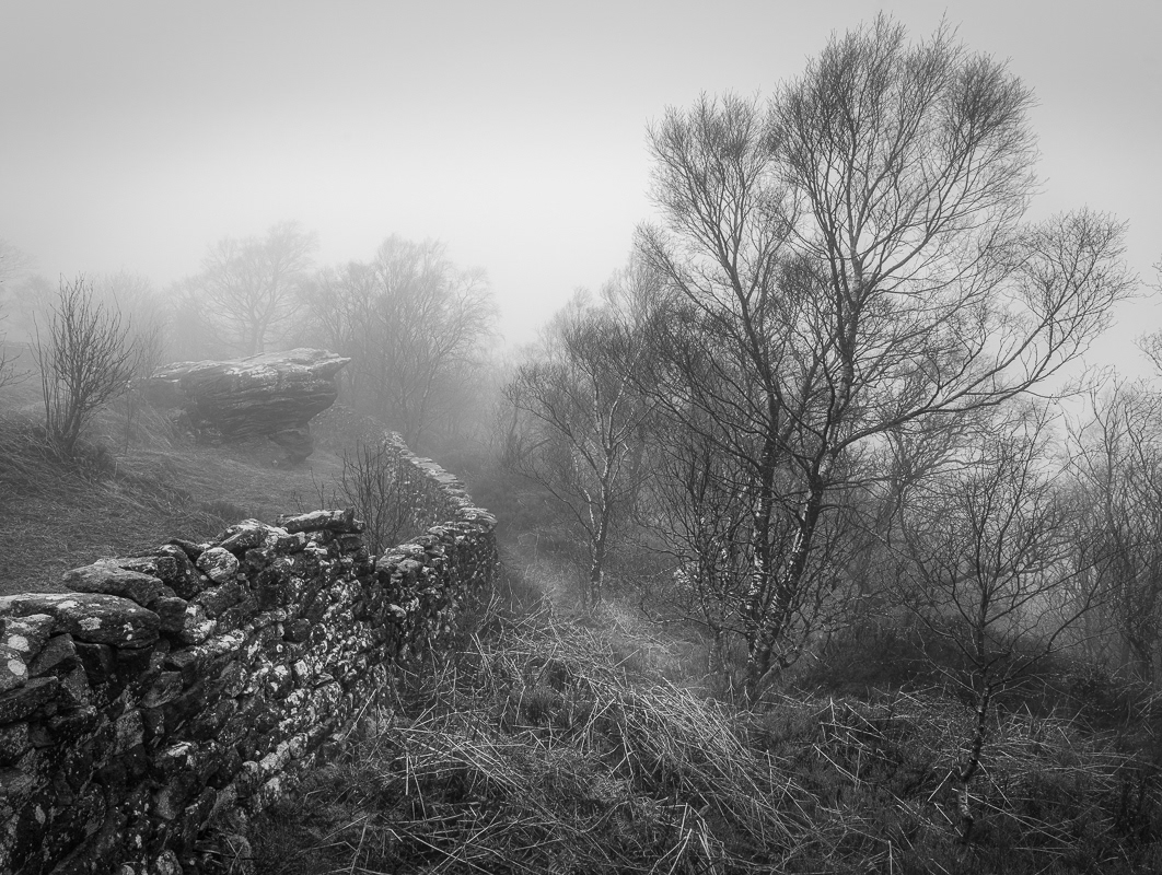 In to the mist mono