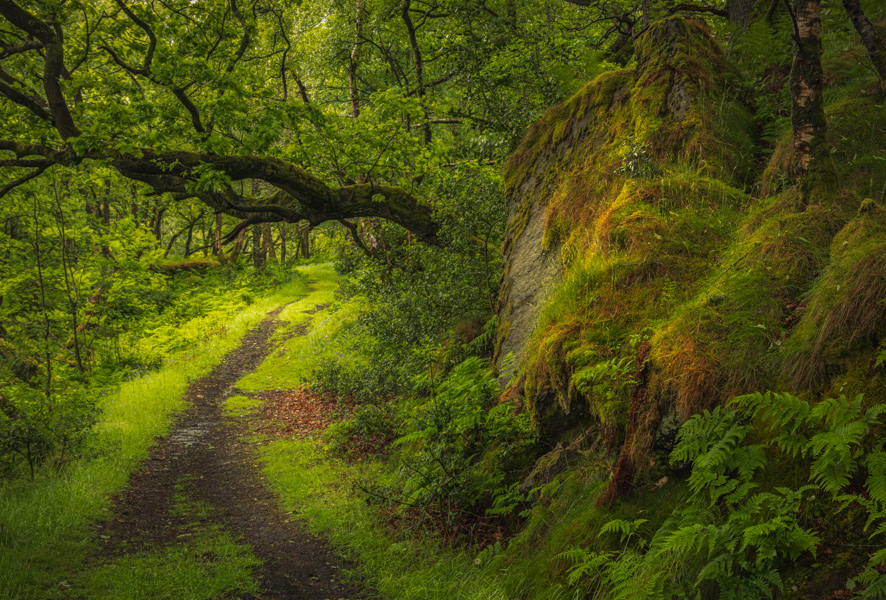 green path