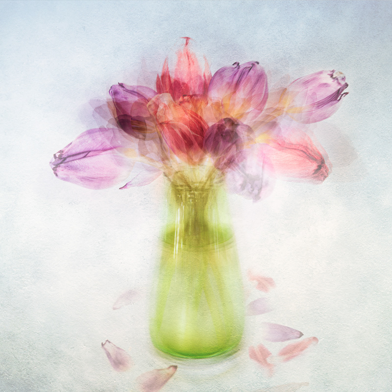 Tulips in Green Vase