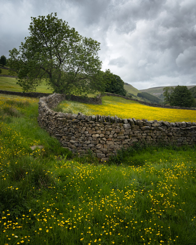 Muker flower meadows II
