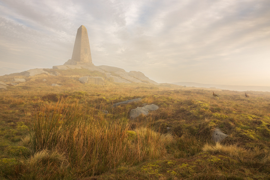 Paying respects, Cracow war memorial