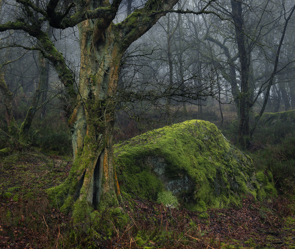Rock and a hard place