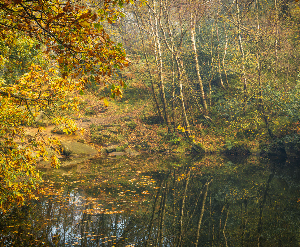 Tarn reflactions III