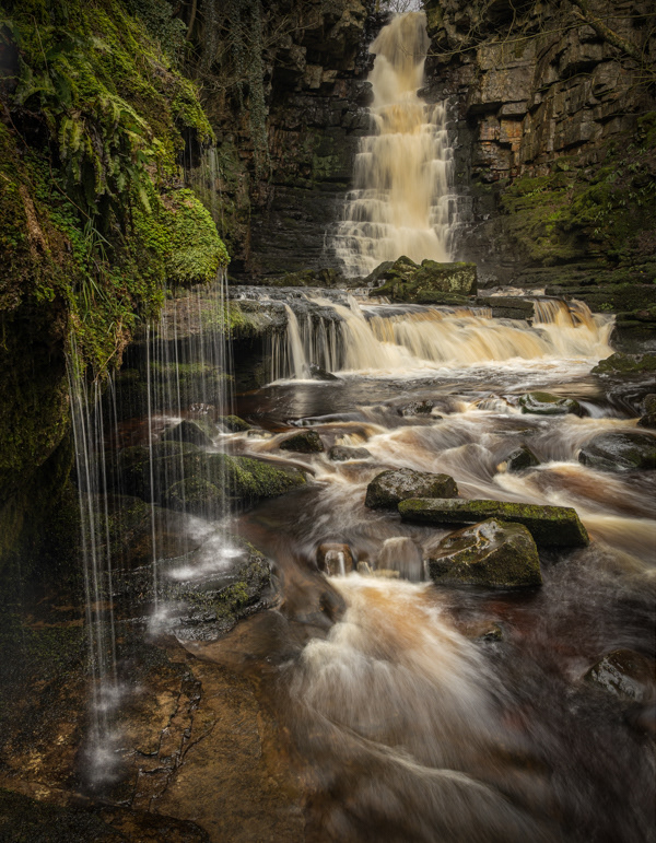 mill gill force,