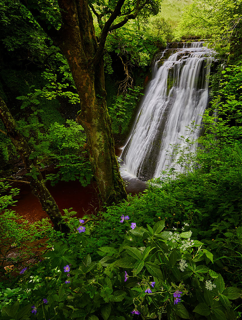 Aysgill Force, Yorkshire Dales