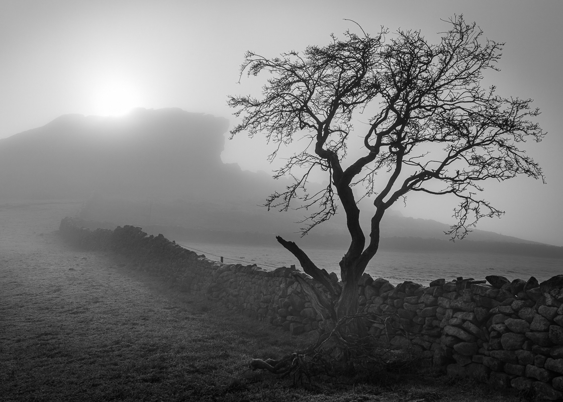 Foggy Almscliffe