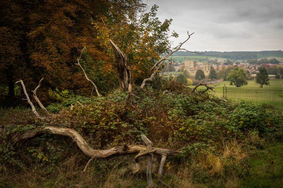 Helmsley Castle from Duncolme Park