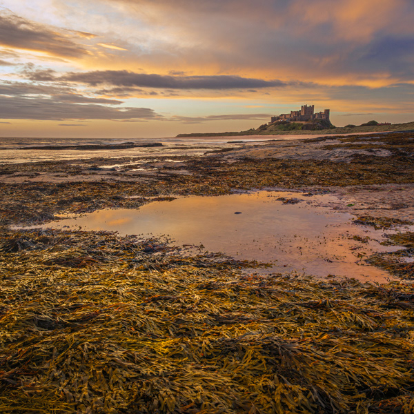 Bamburgh rock pools II